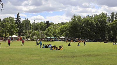 destacada Móstoles celebra San Isidro 2024 (5) copia