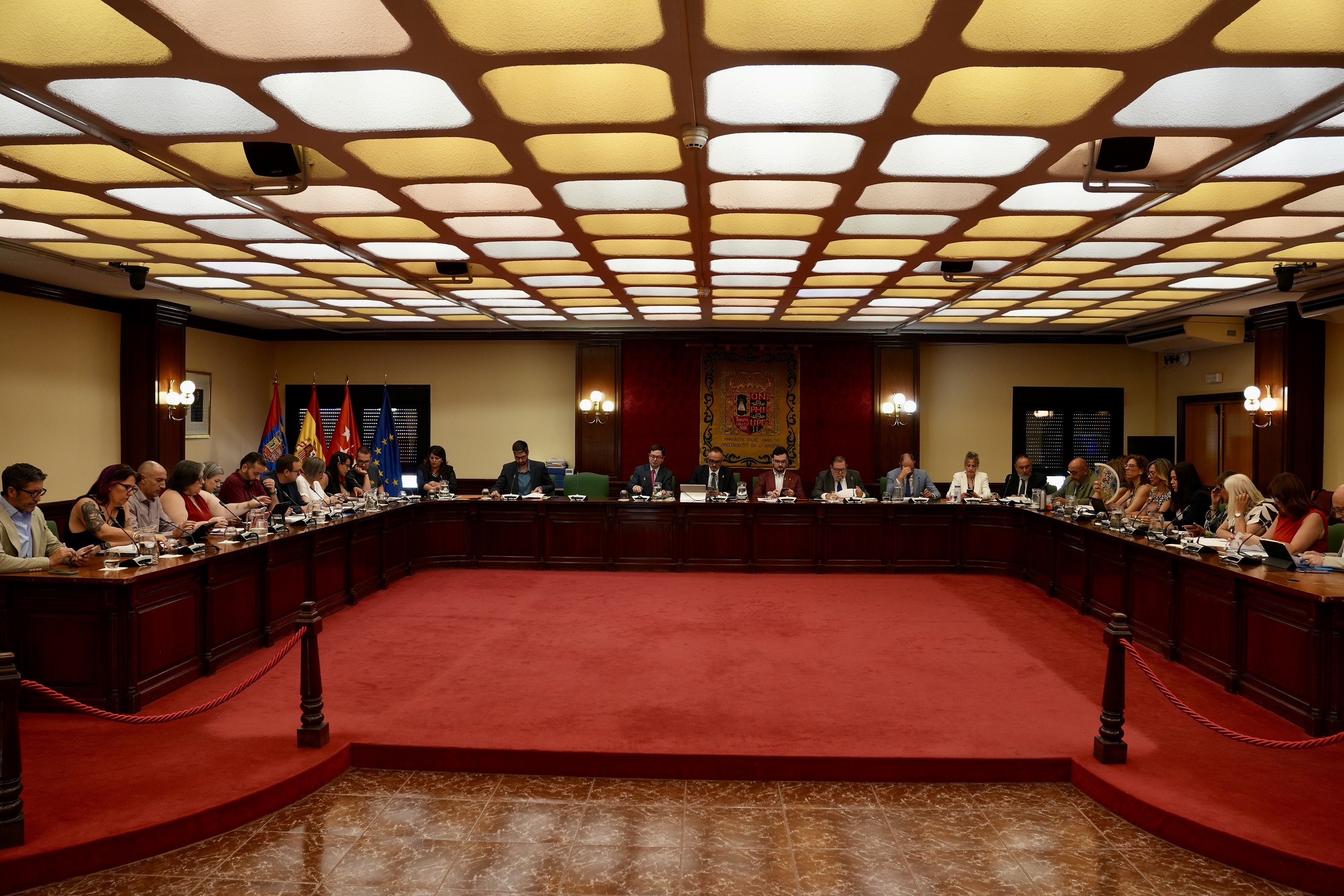 PLENO JUNIO (7)