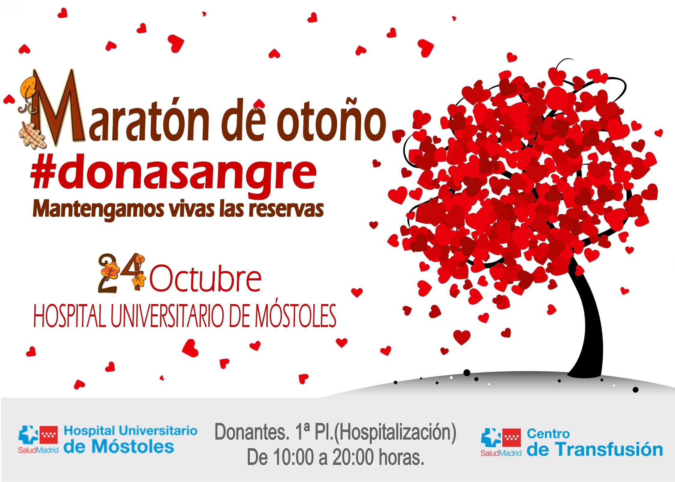 Maratón_Móstoles cartel
