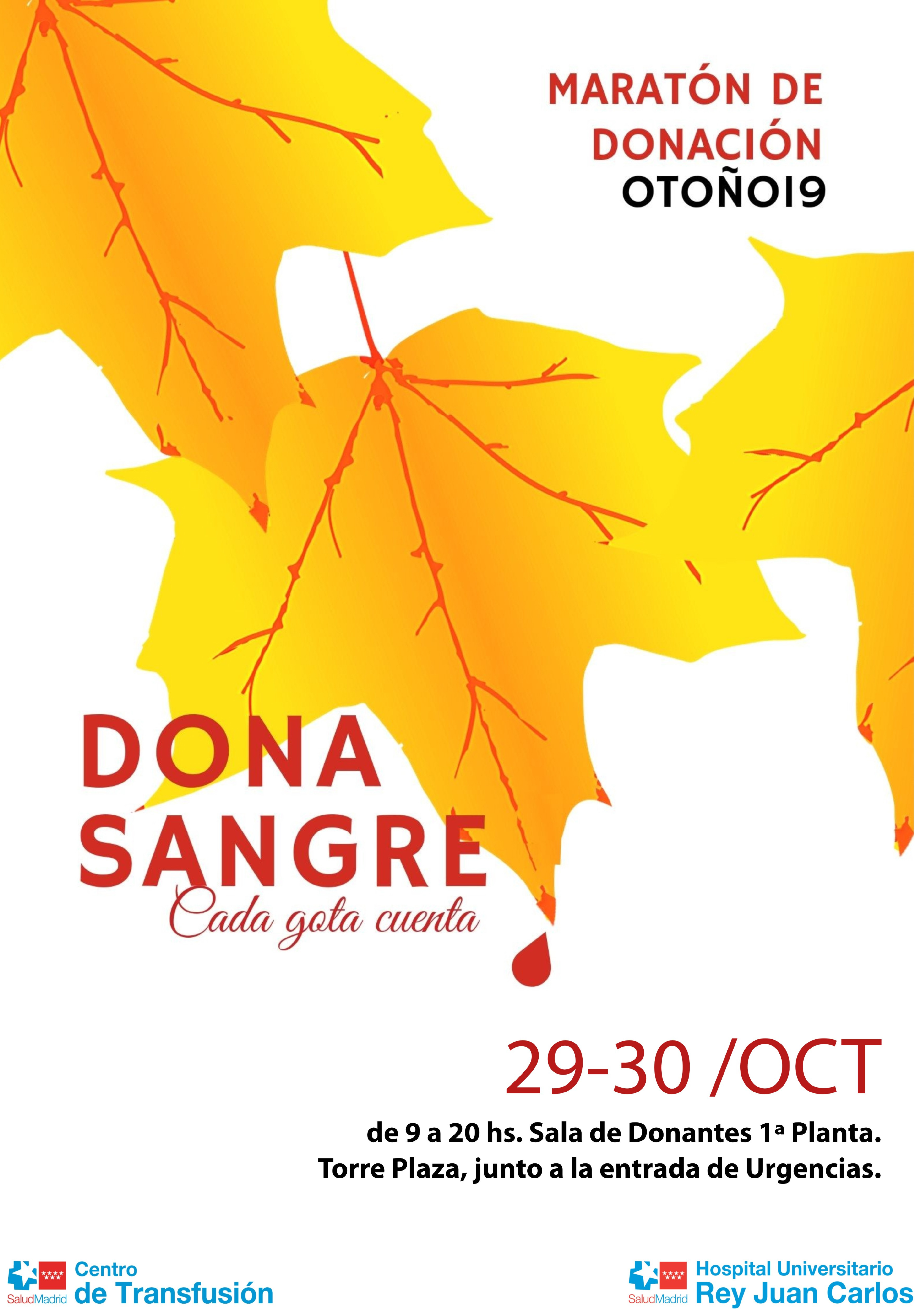 CARTEL Maratón Otoño 2019 Rey Juan Carlos p