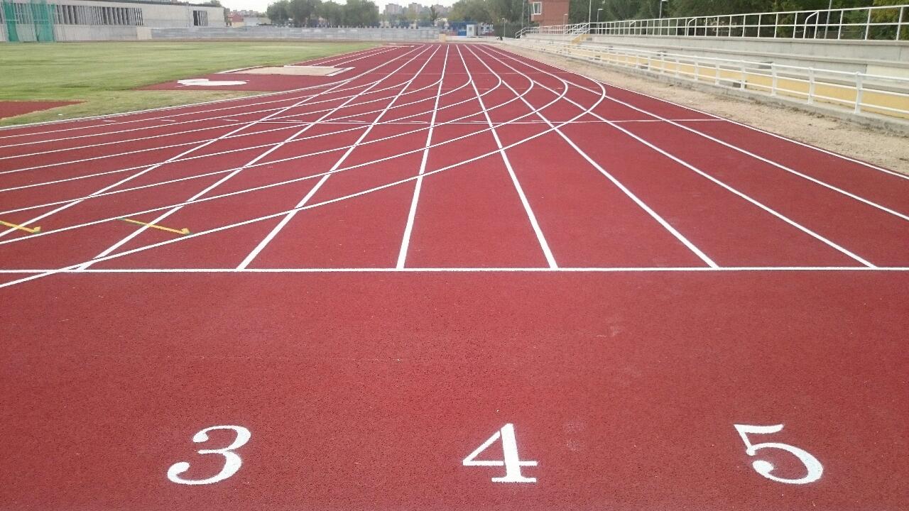 Nuevo Polideportivo el Soto 11