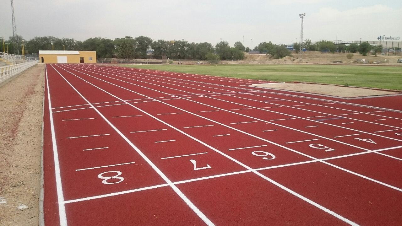 Nuevo Polideportivo el Soto 2