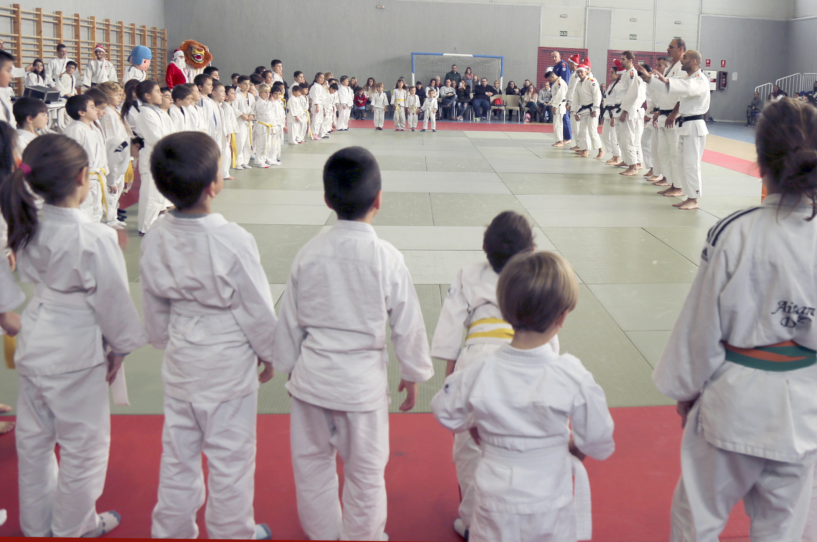 judo 5