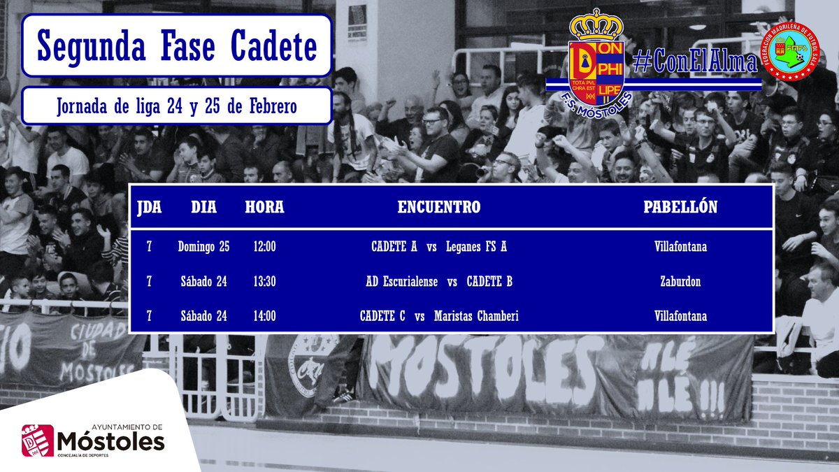 Ciudad de Móstoles F.S. 3