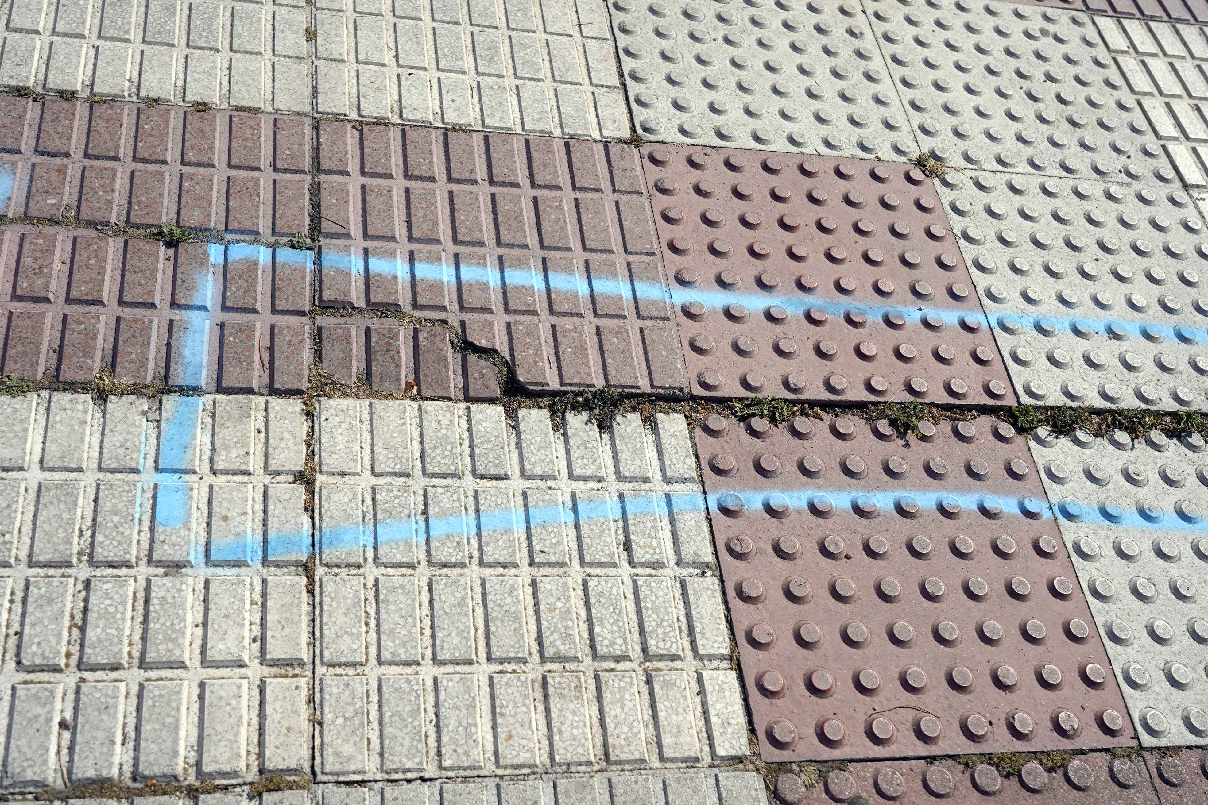 Visita de la zona de Río Guadiana con el Servicio Especial de Atención de los Distritosp