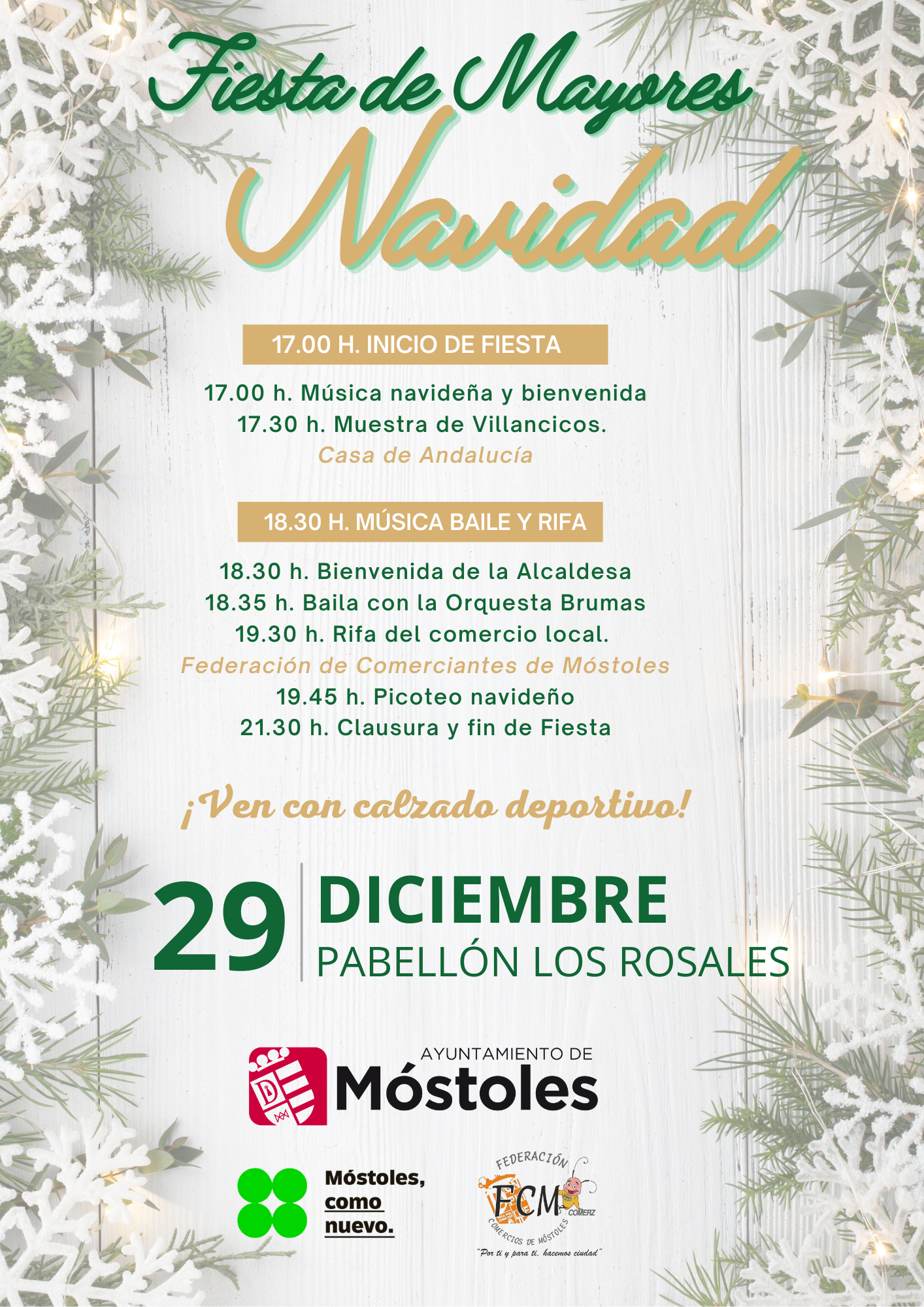 CARTEL FIESTA NAVIDAD MAYORES p