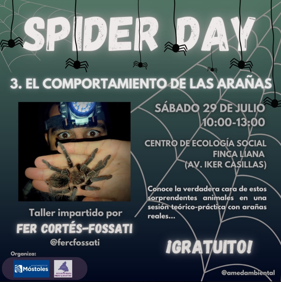 Spider Day