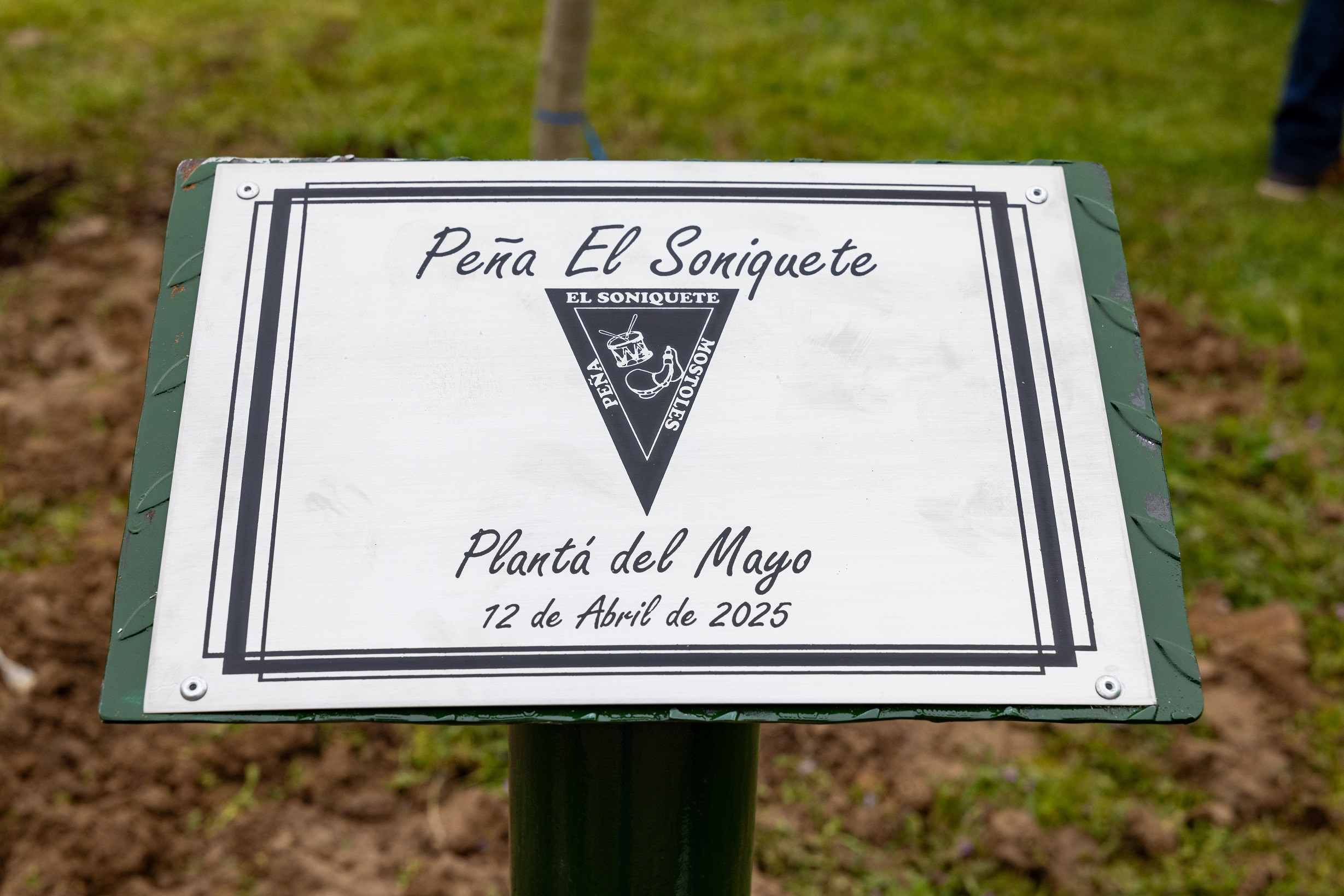 Quintos de mayo (3) p