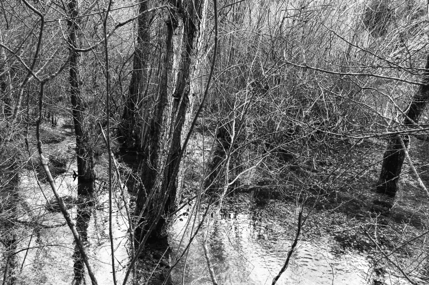 El reportaje como obra personal (4)P