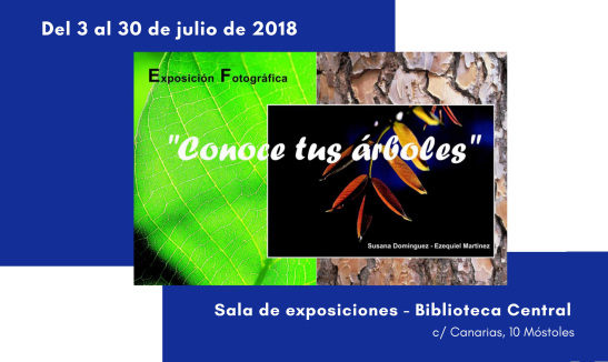 expo conoce tus árboles