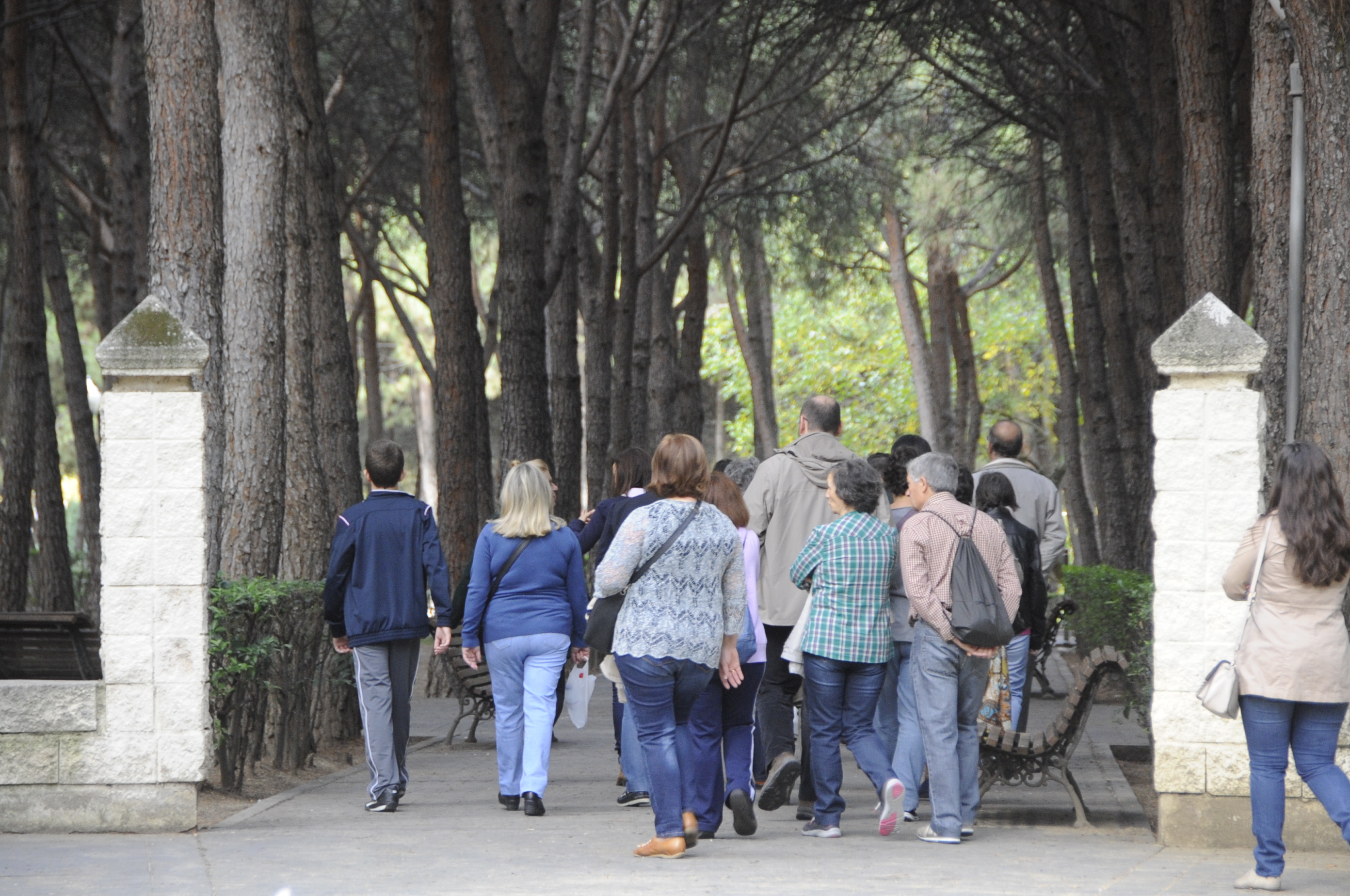Visita guiada FINCA LIANA 6