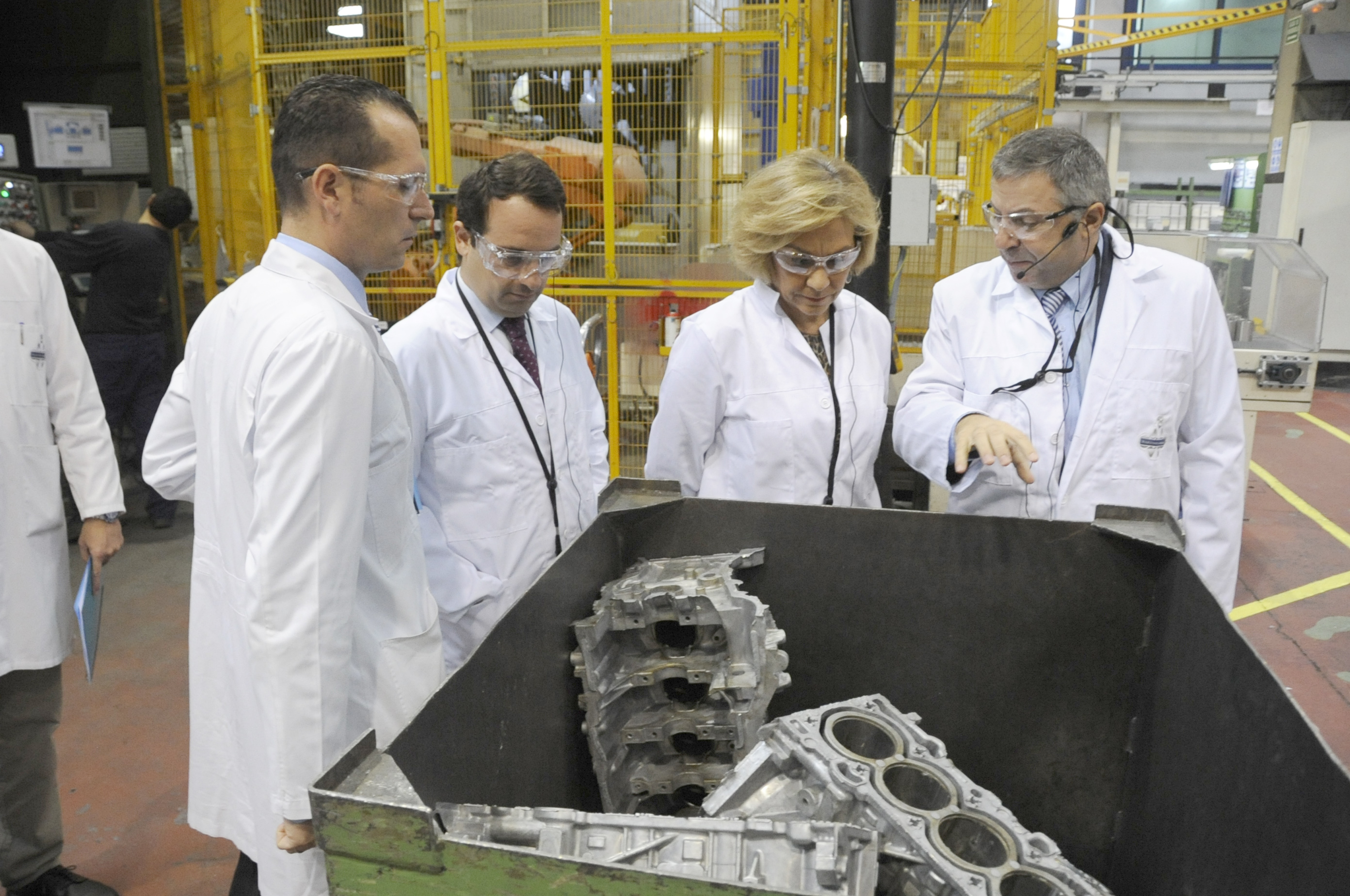 Visita a MARTINREA HONSEL 7