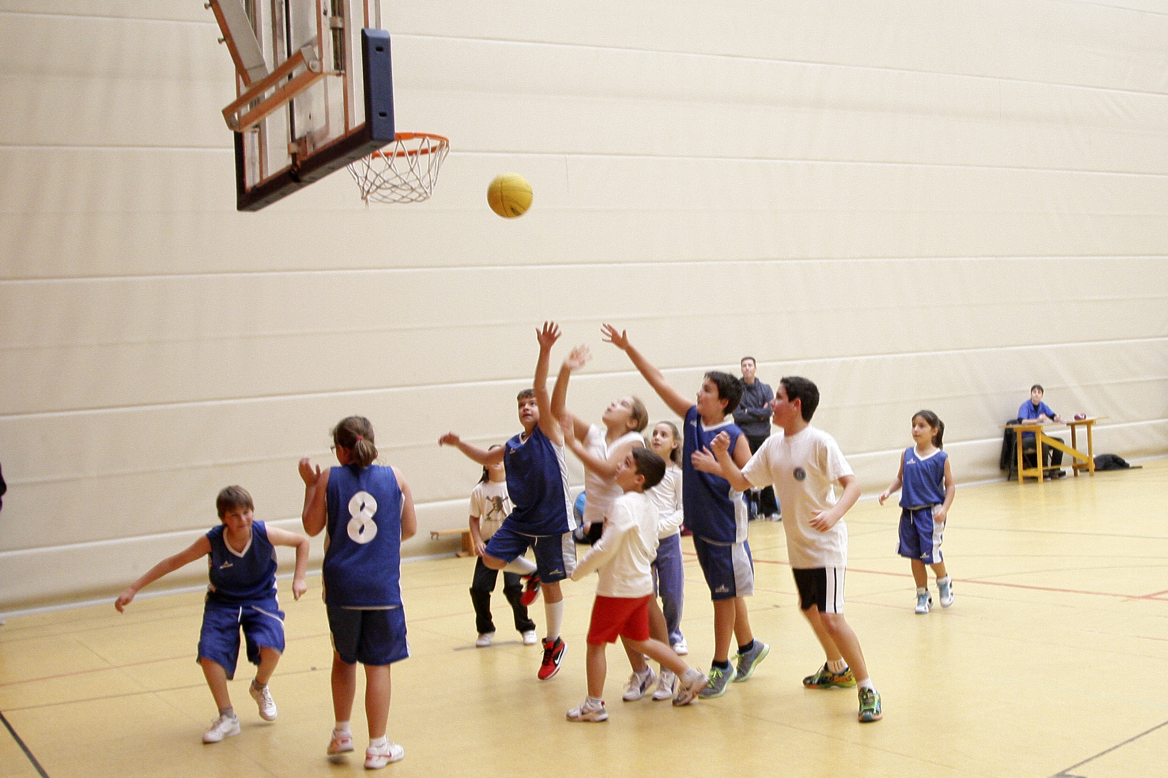 BALONCESTO infantil 1