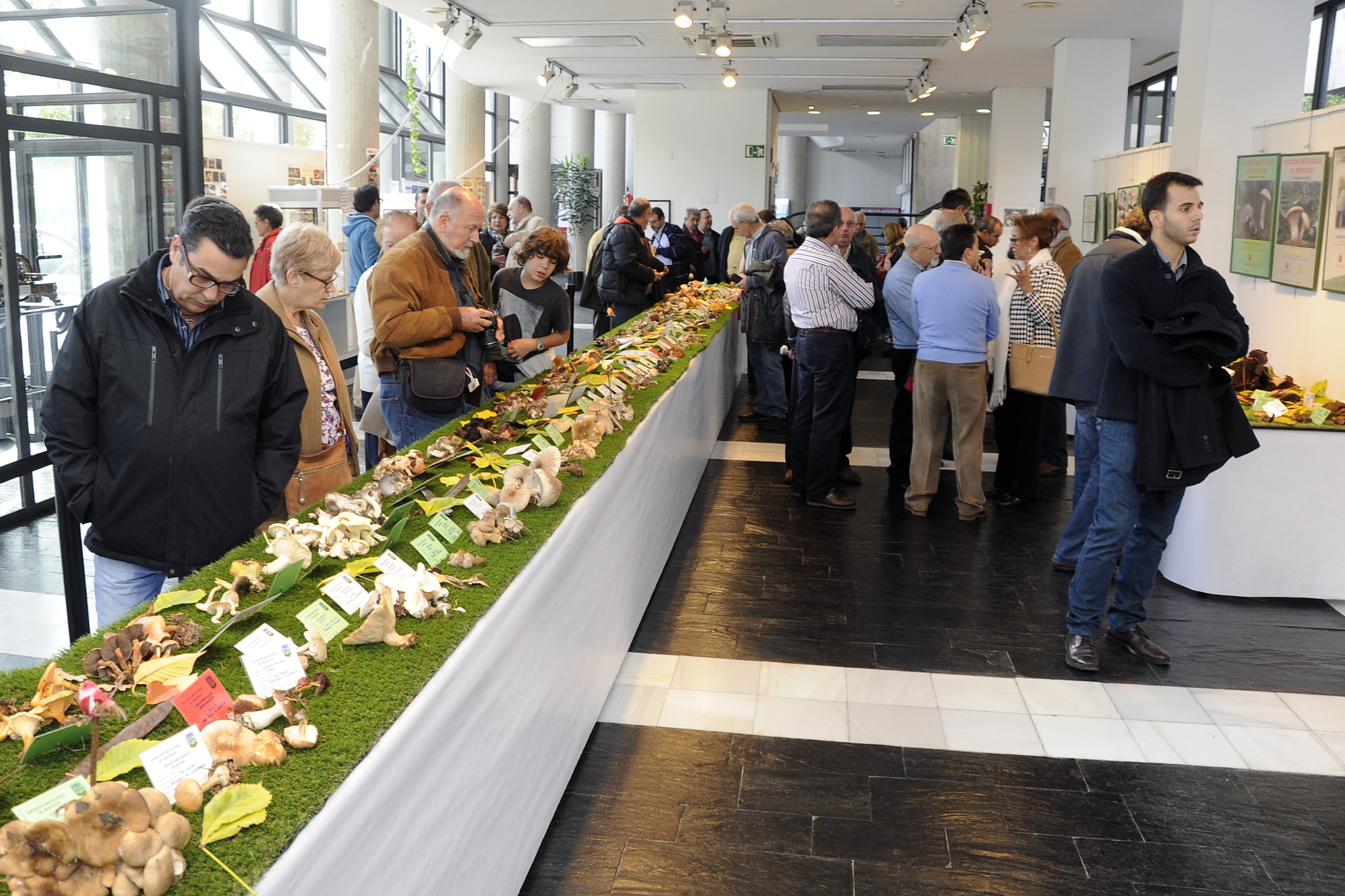 Jornadas Micológicas 6