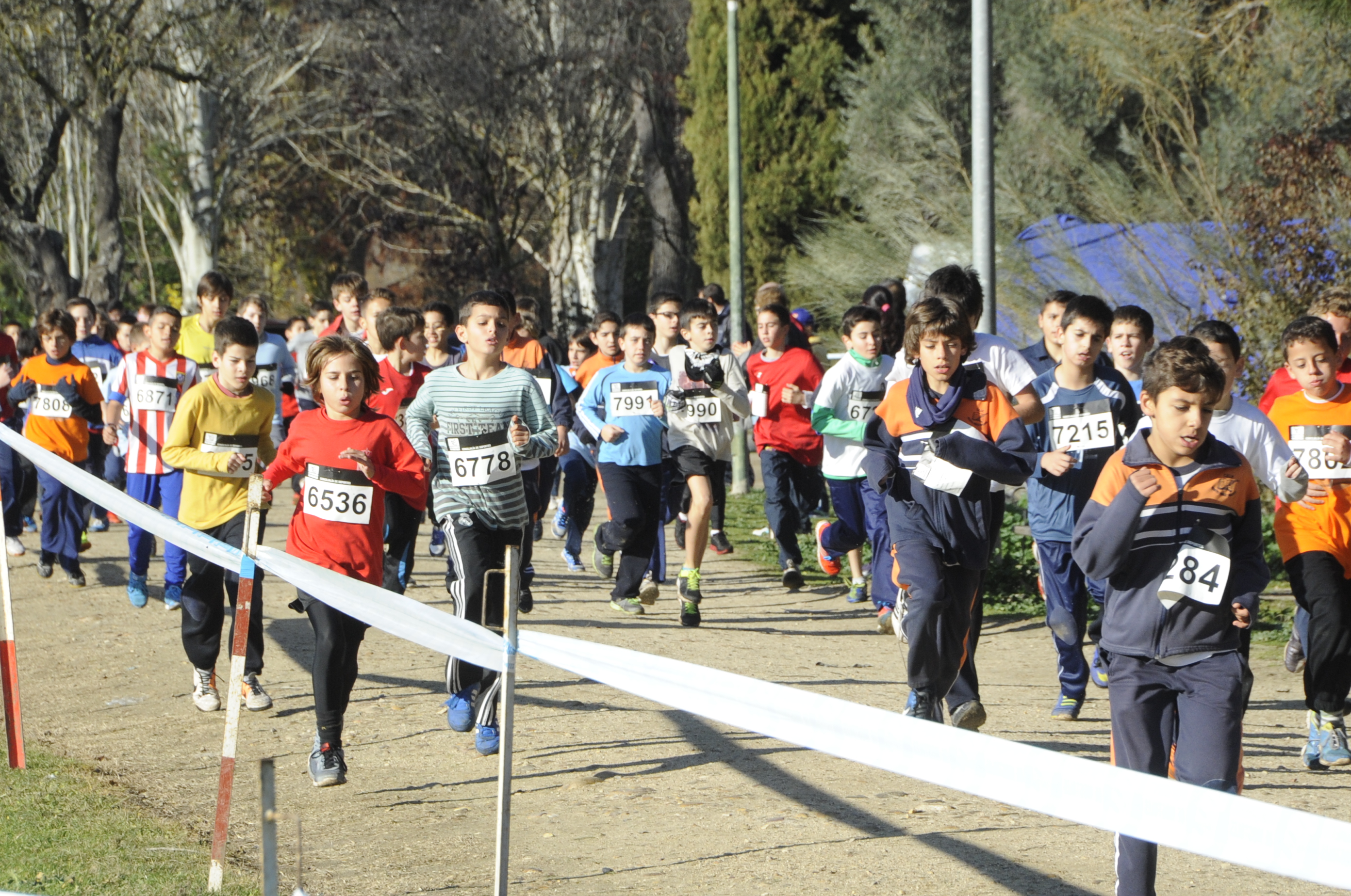 CROSS COLEGIOS 5