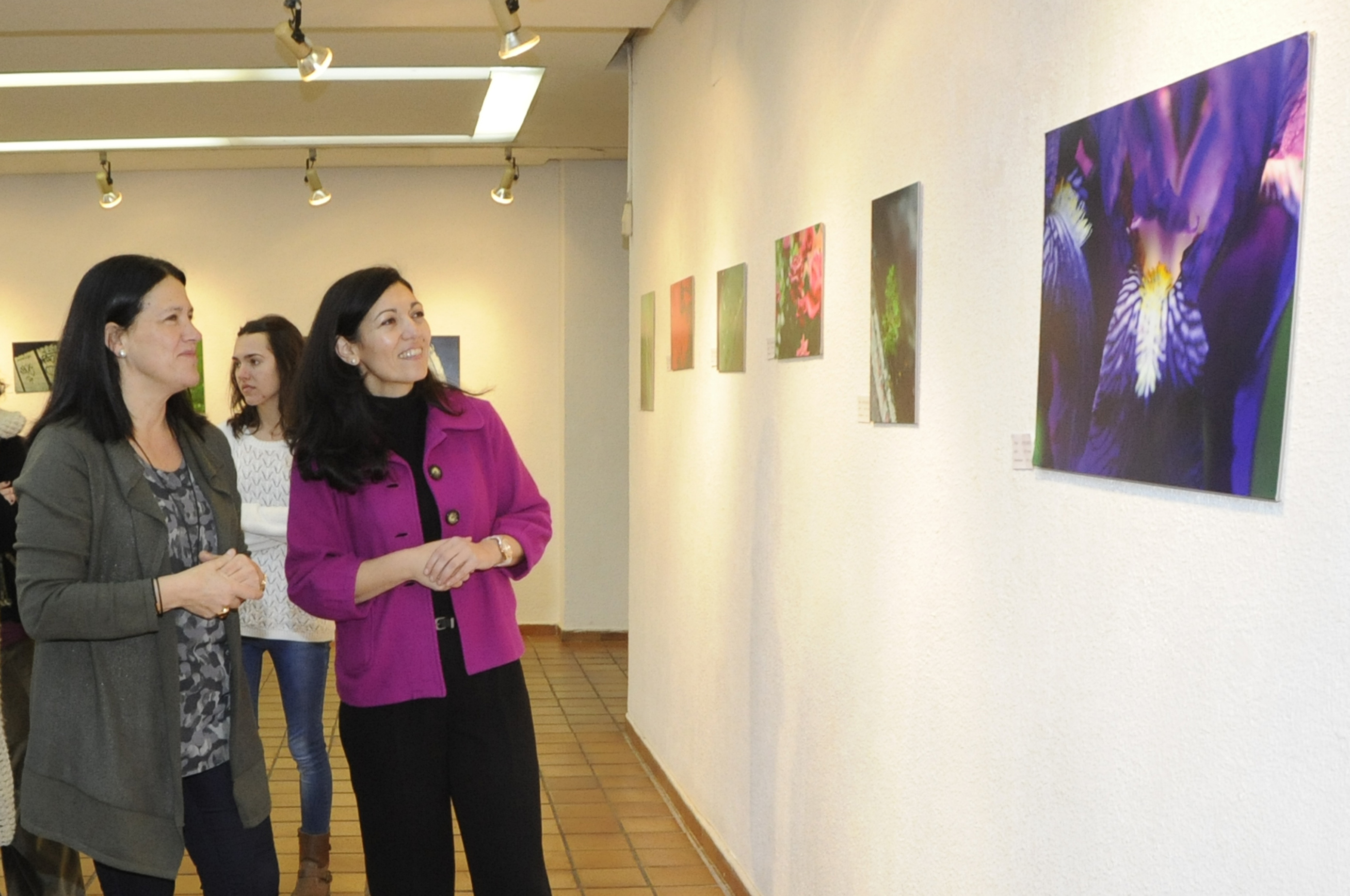 EXPO Detalles y Paisajes 3