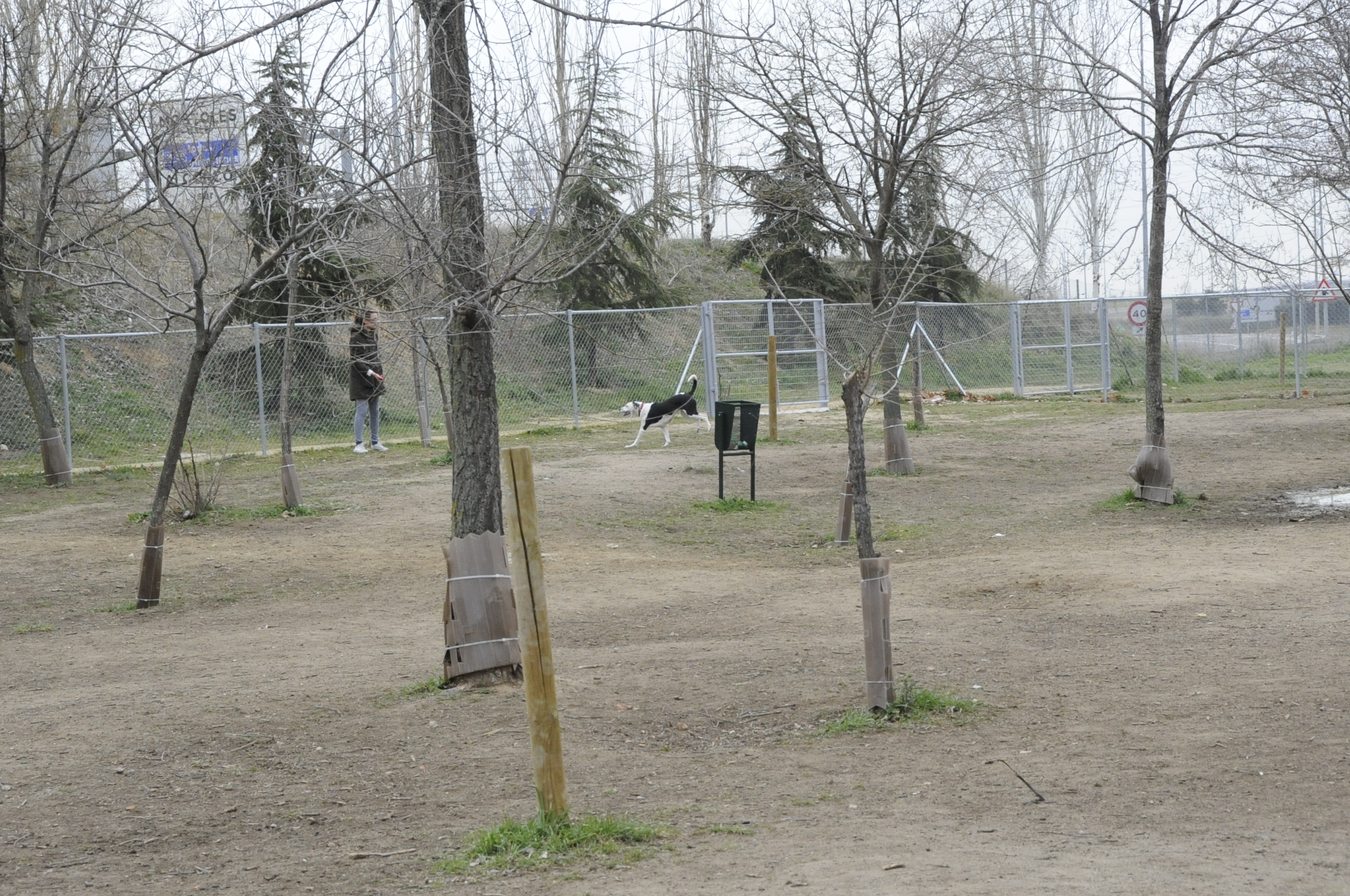 Rehabilitación Calle Niza 7