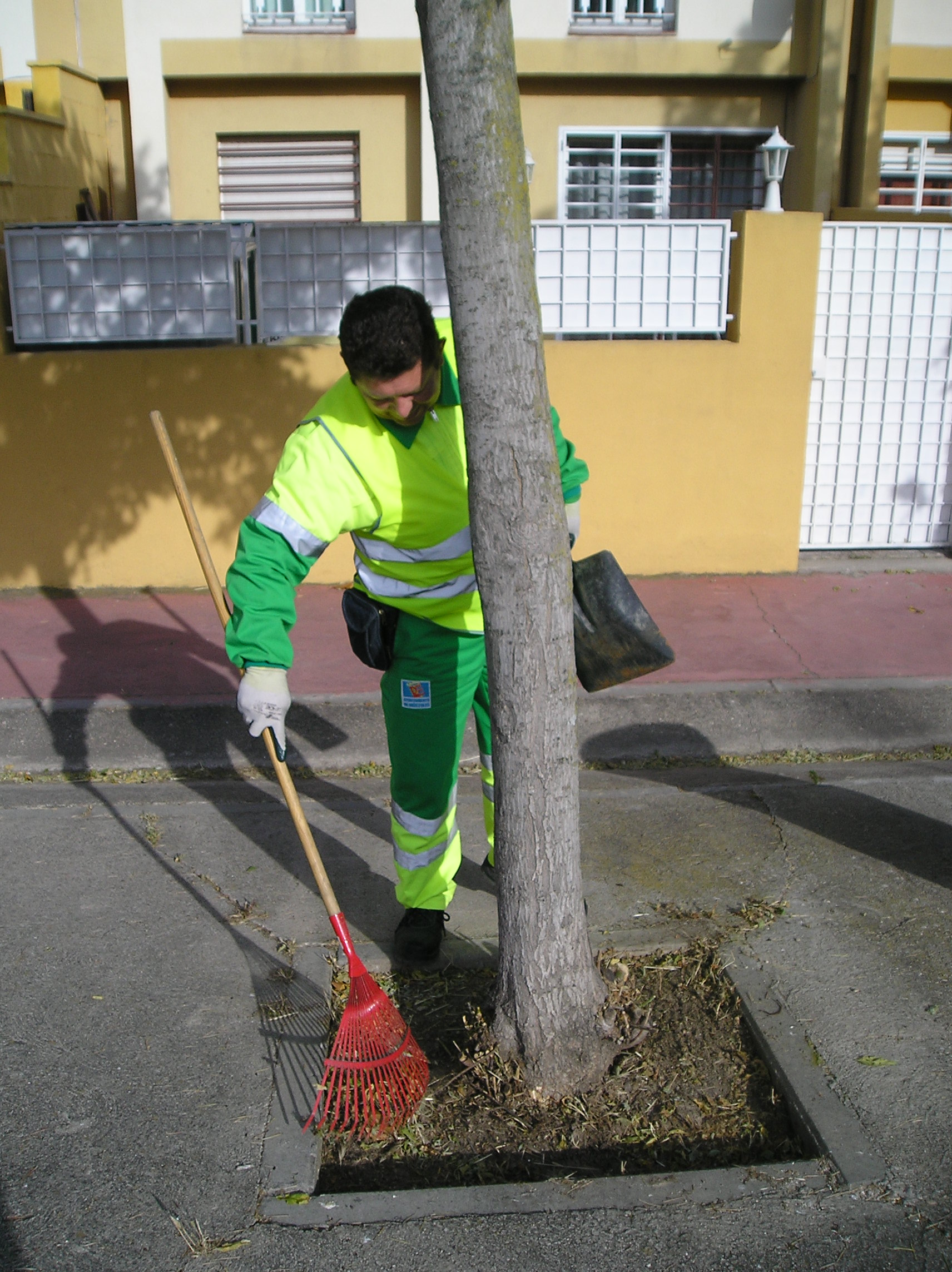 LIMPIEZA EXCREMENTOS 1