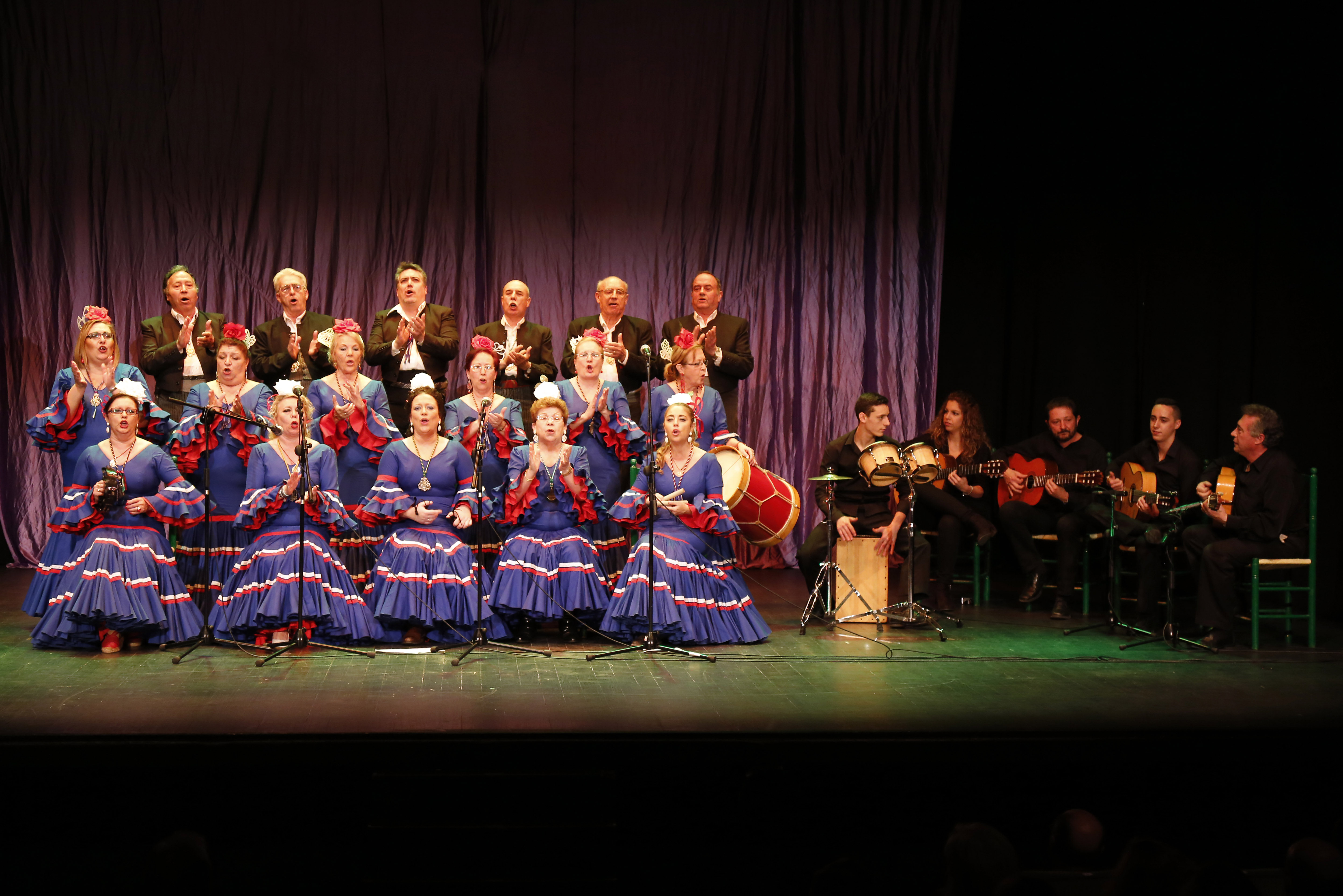 Festival Día Andalucía 8