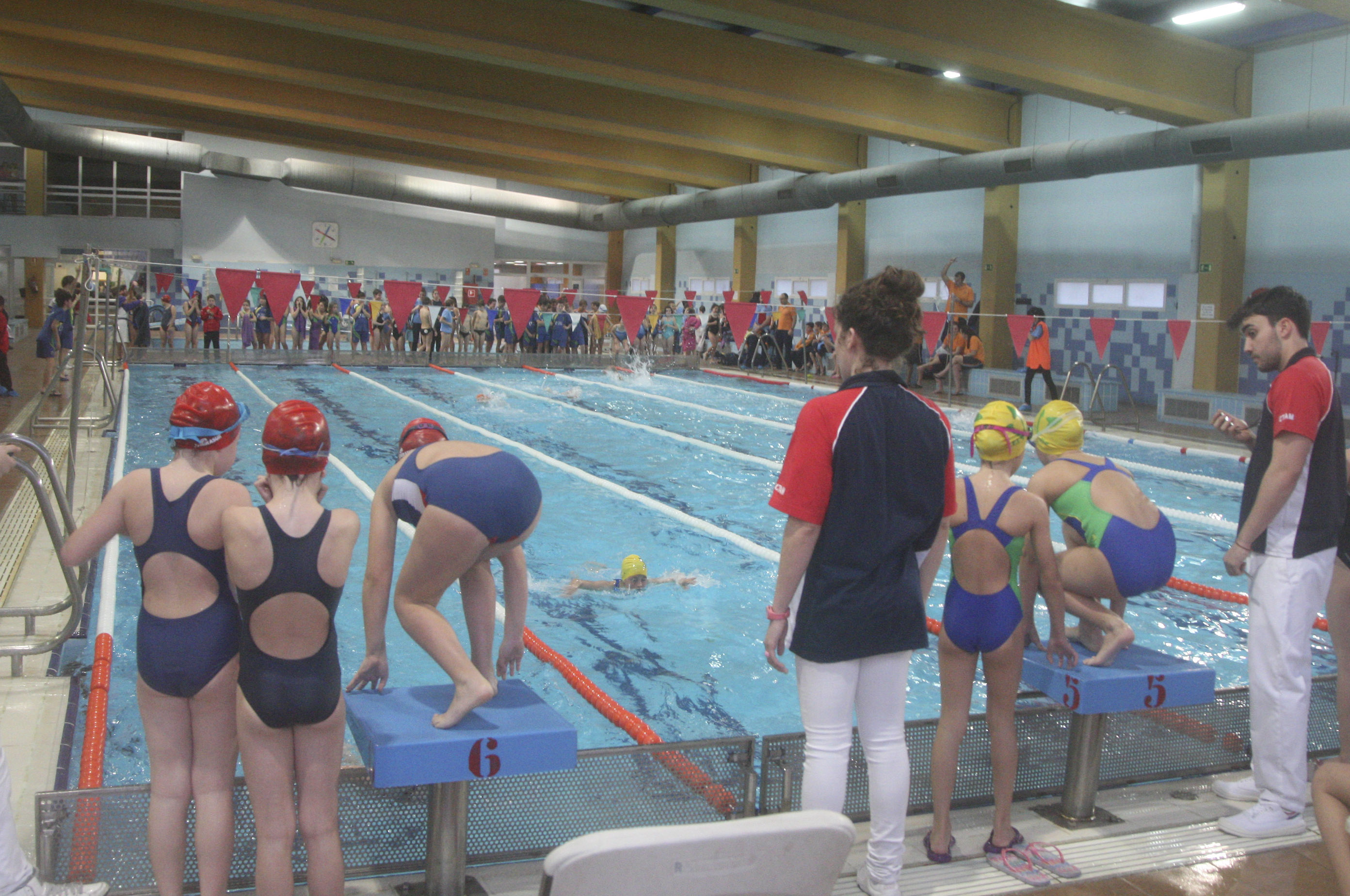 natacion 1