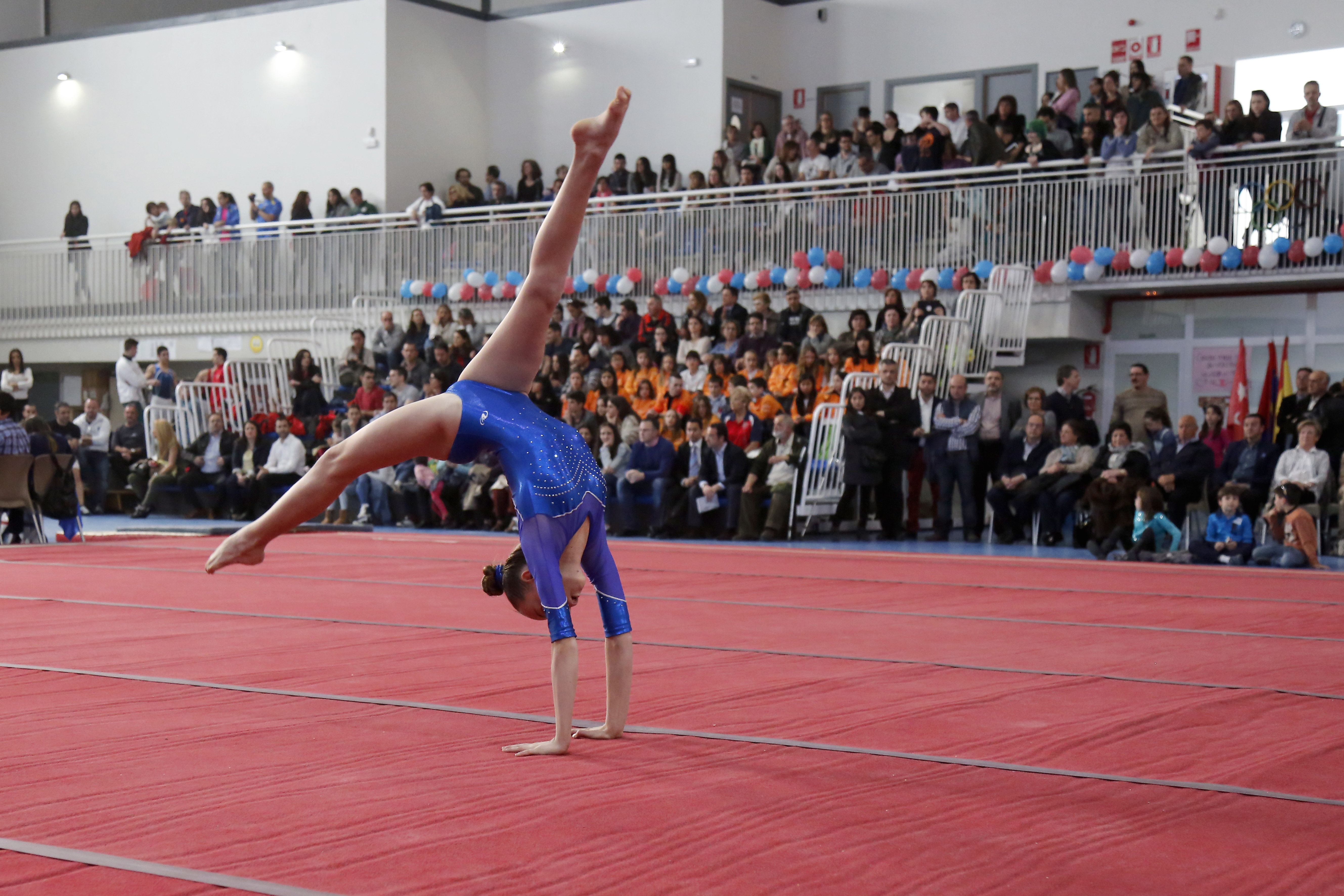 Centro Deportivo Rafa Martínez 14