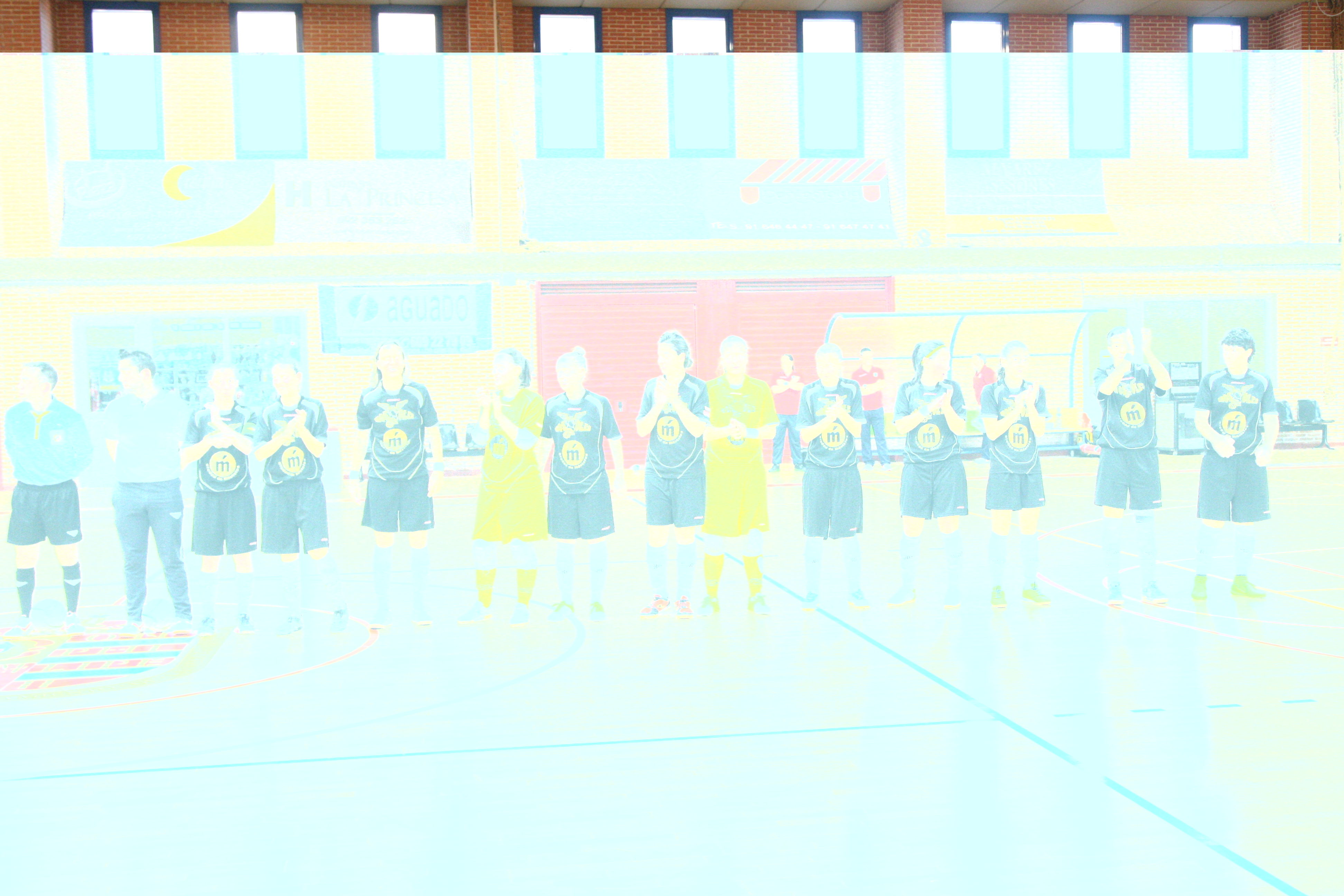 FS Móstoles Femenino 1