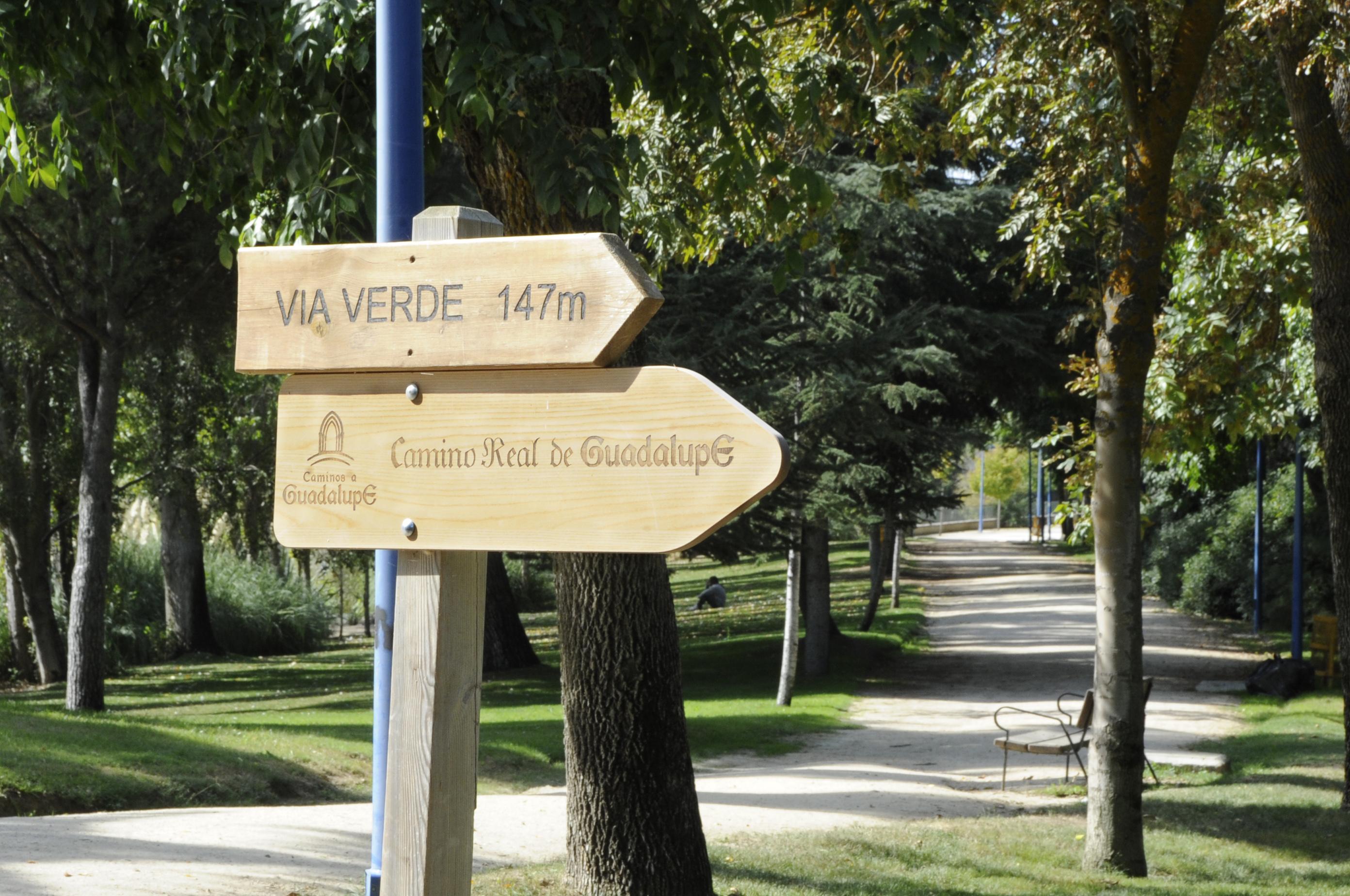 CAMINO REAL GÜADALUPE