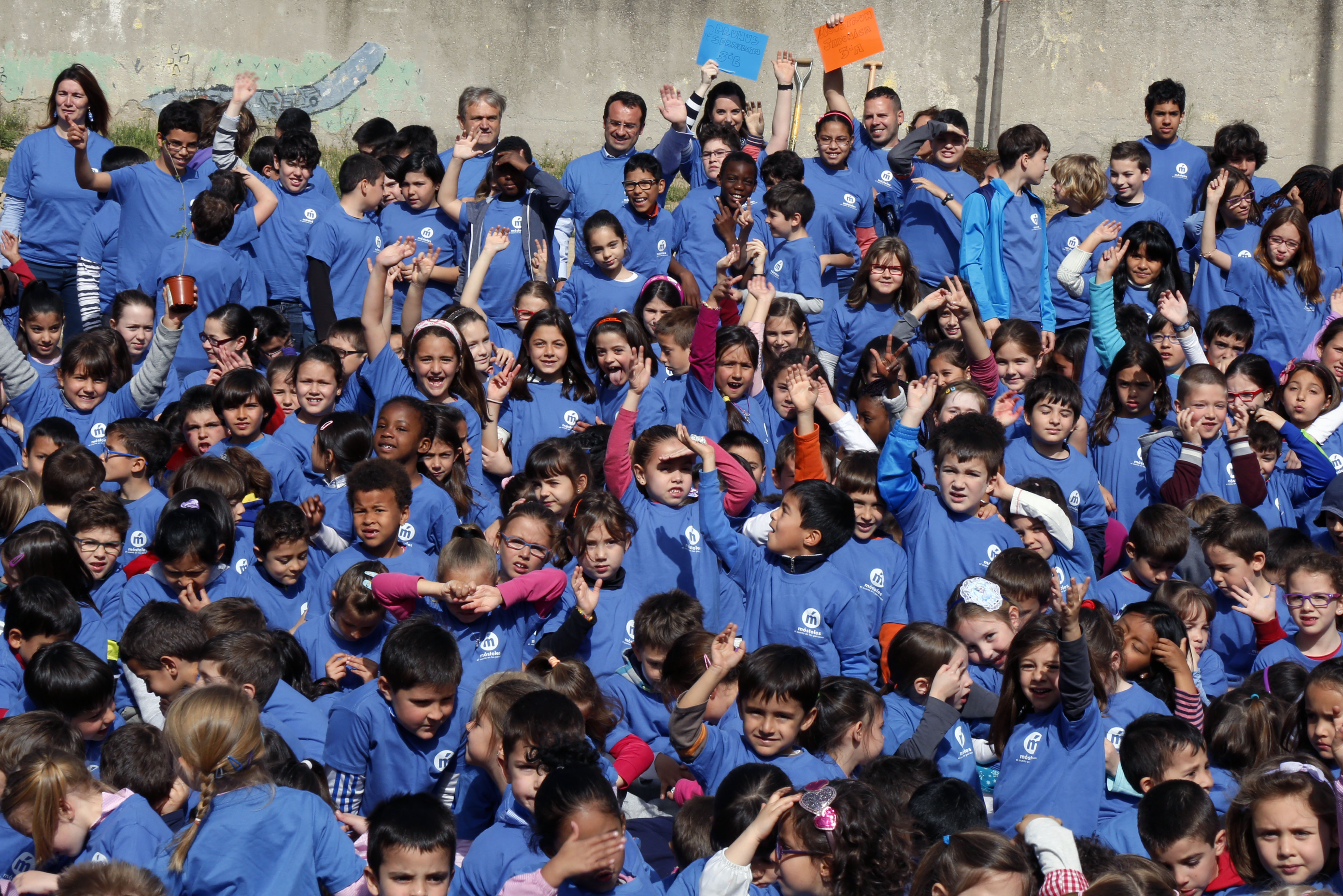 Día Árbol CEIP Villamil 11