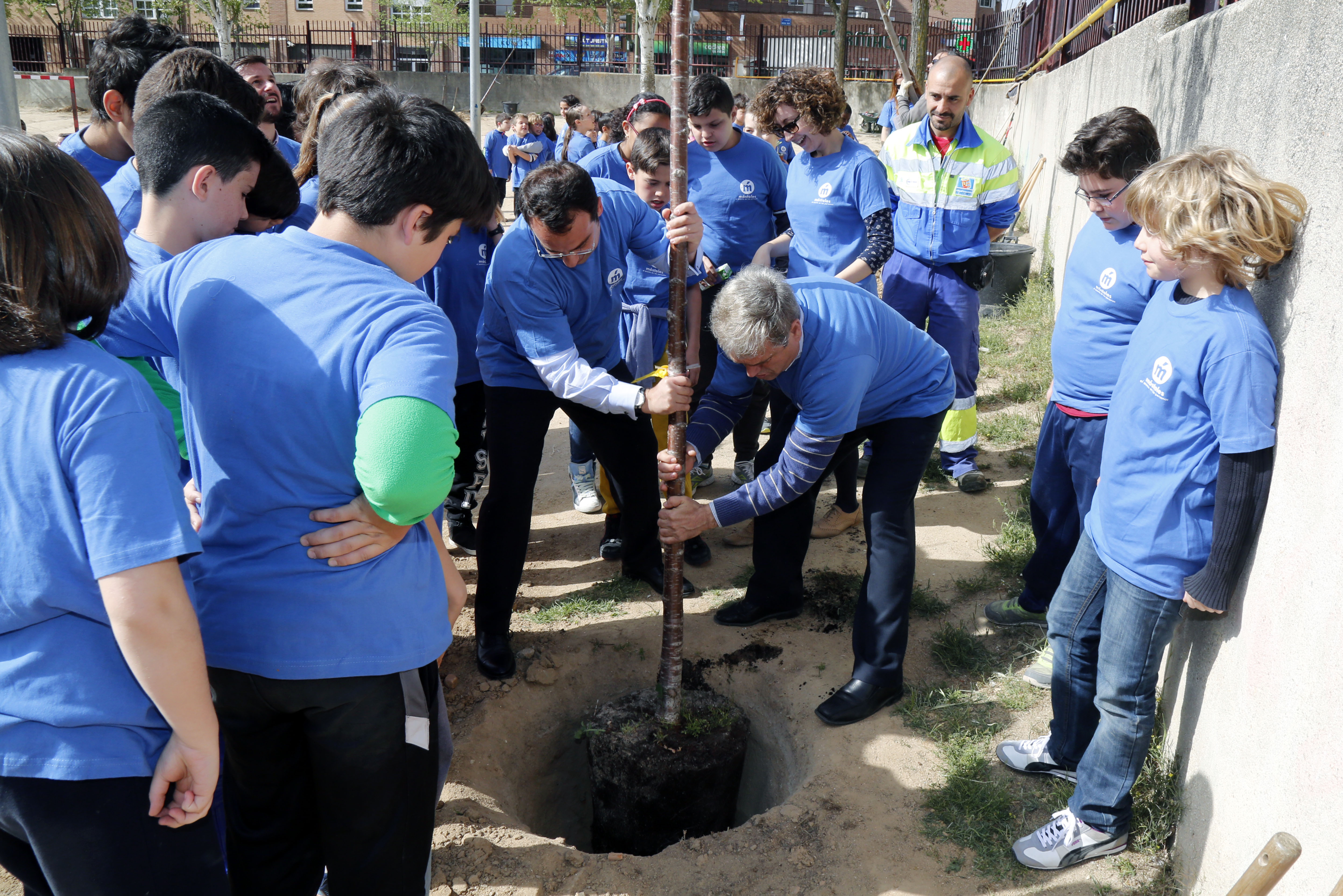 Día Árbol CEIP Villamil 13