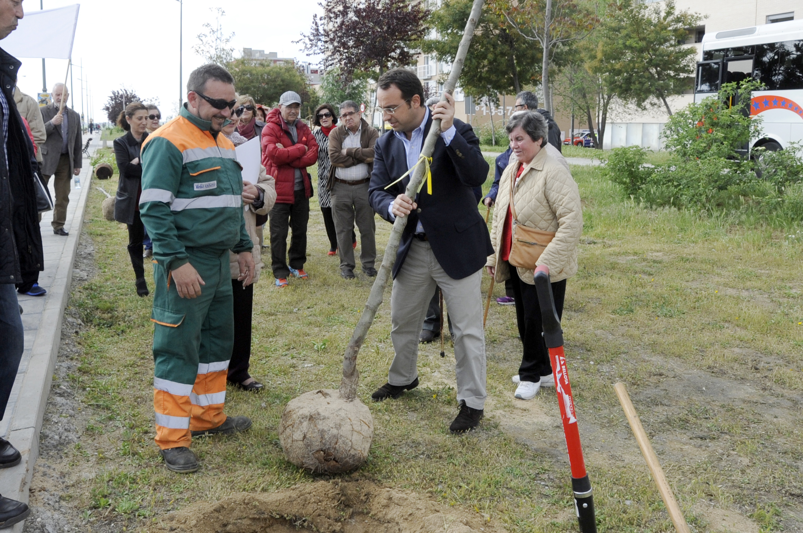 Un arbol por el Parkinson 1