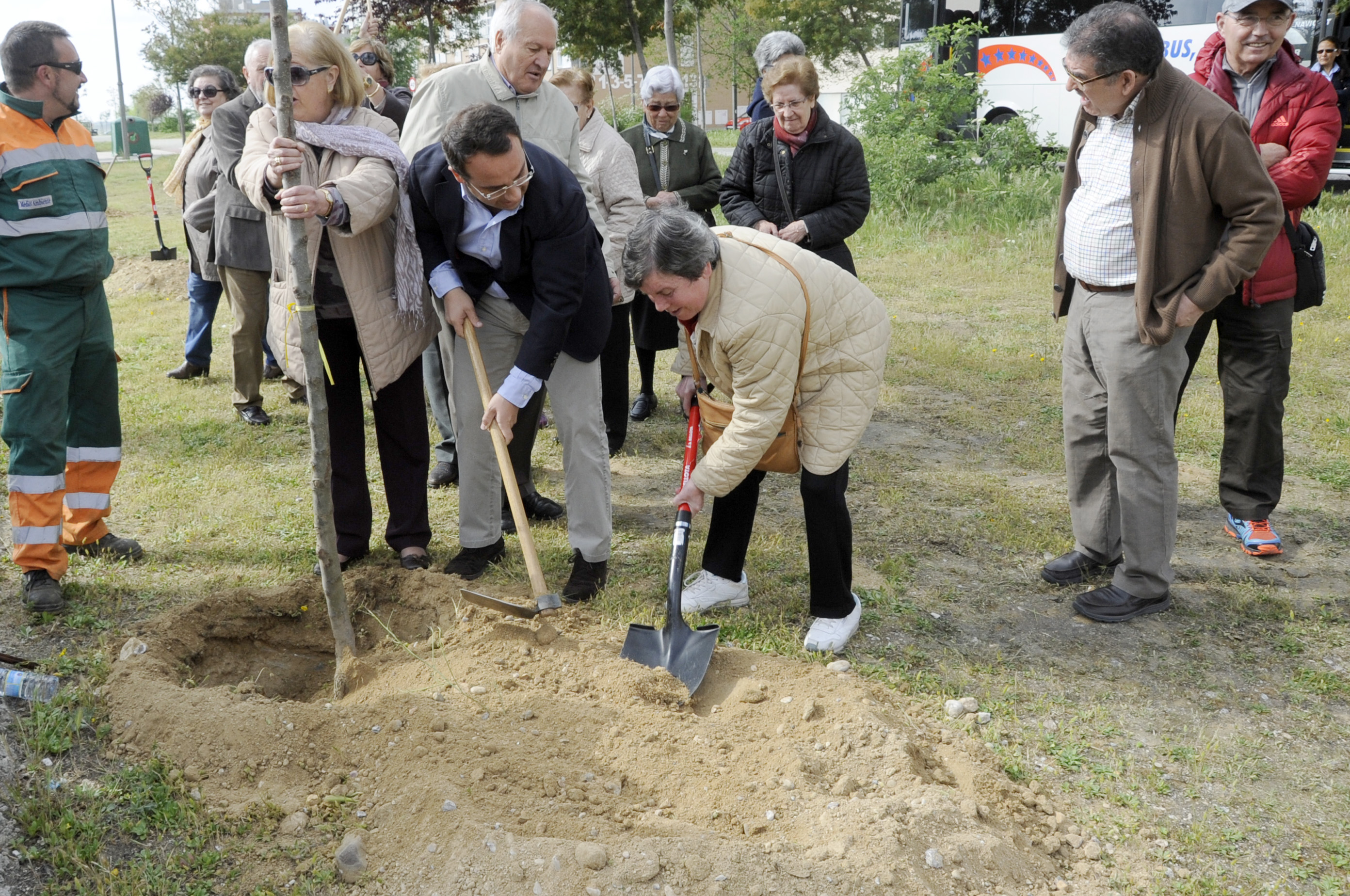 Un arbol por el Parkinson 5