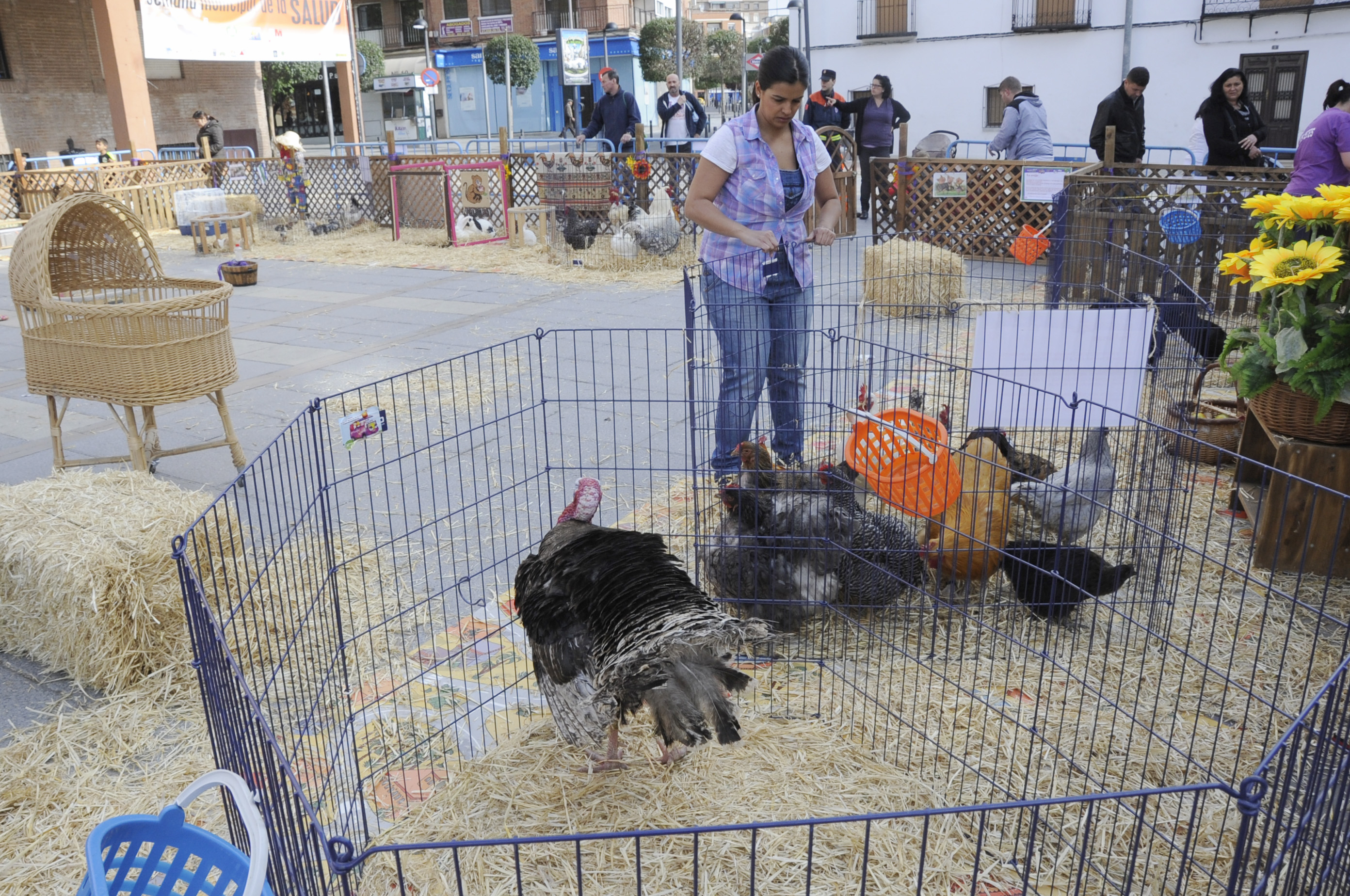 Granja animales Pza. España 2