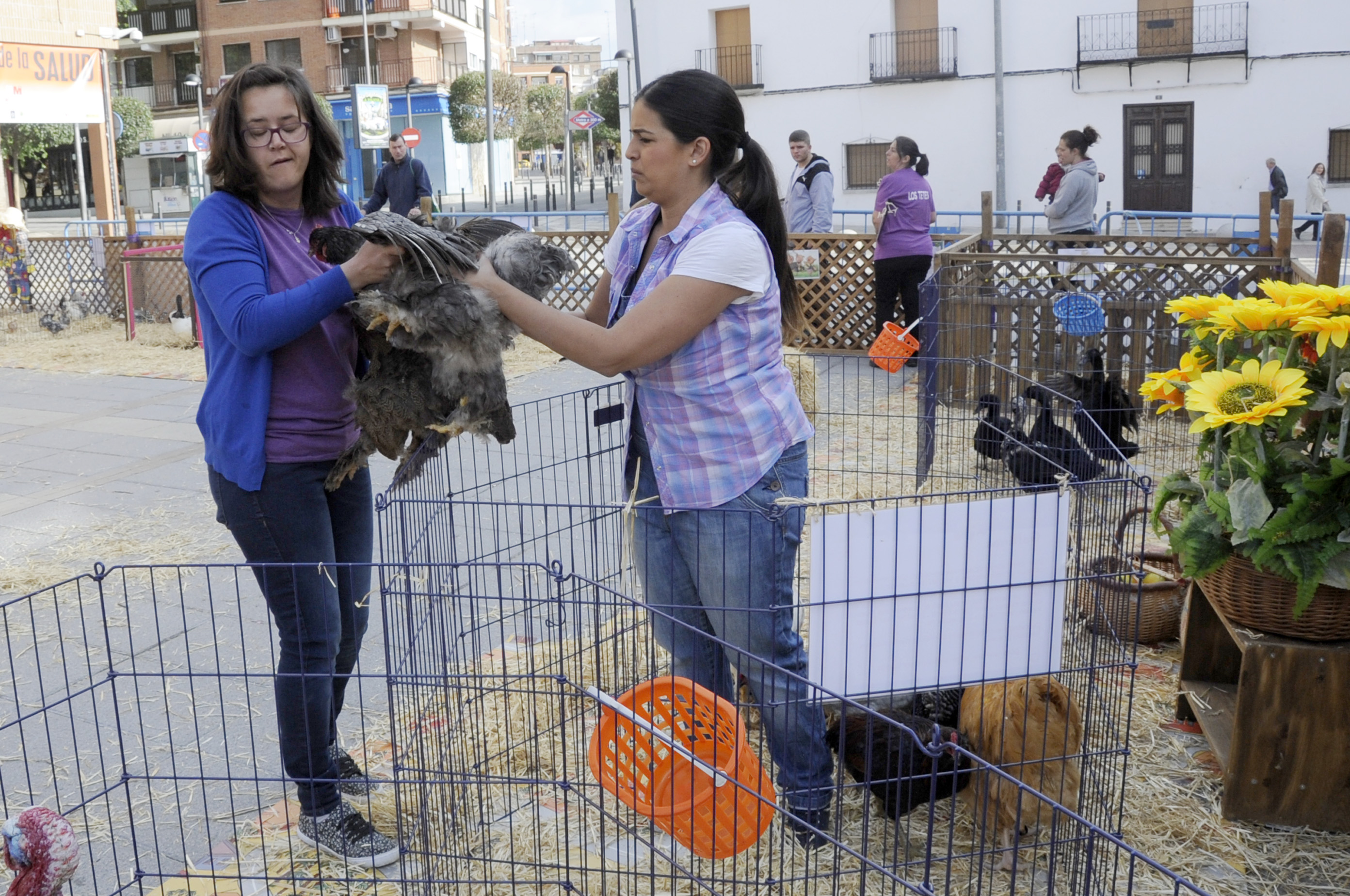 Granja animales Pza. España 3