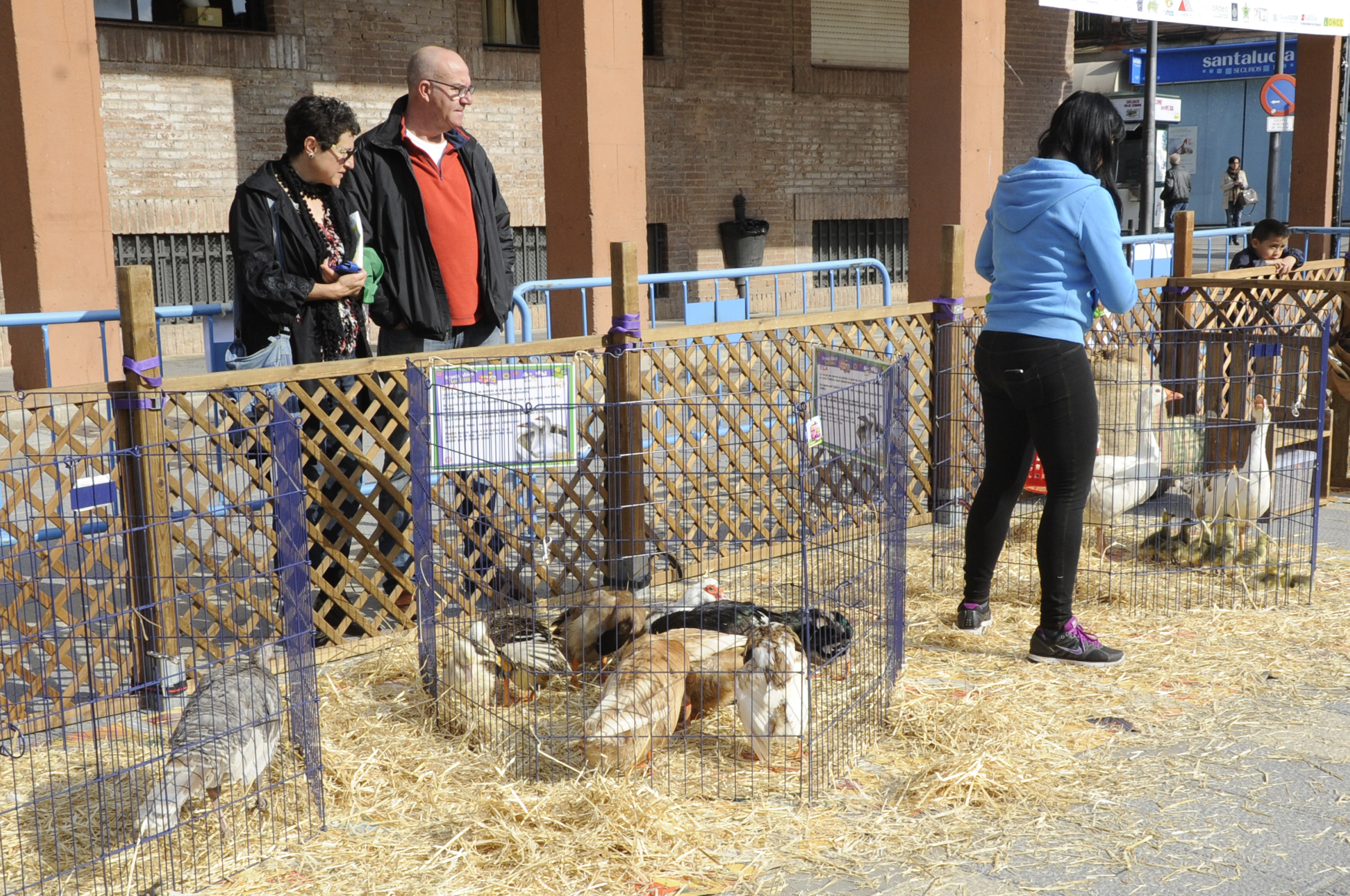 Granja animales Pza. España 5