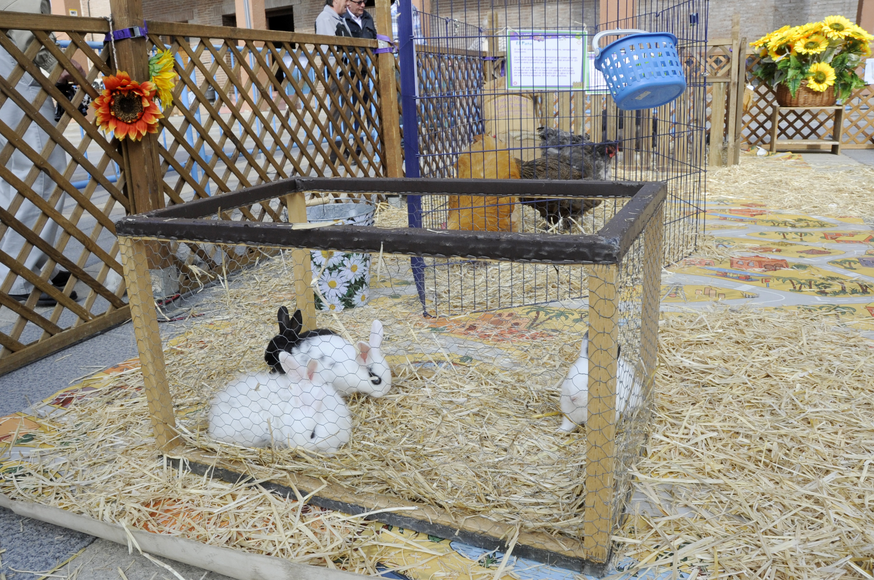 Granja animales Pza. España 7