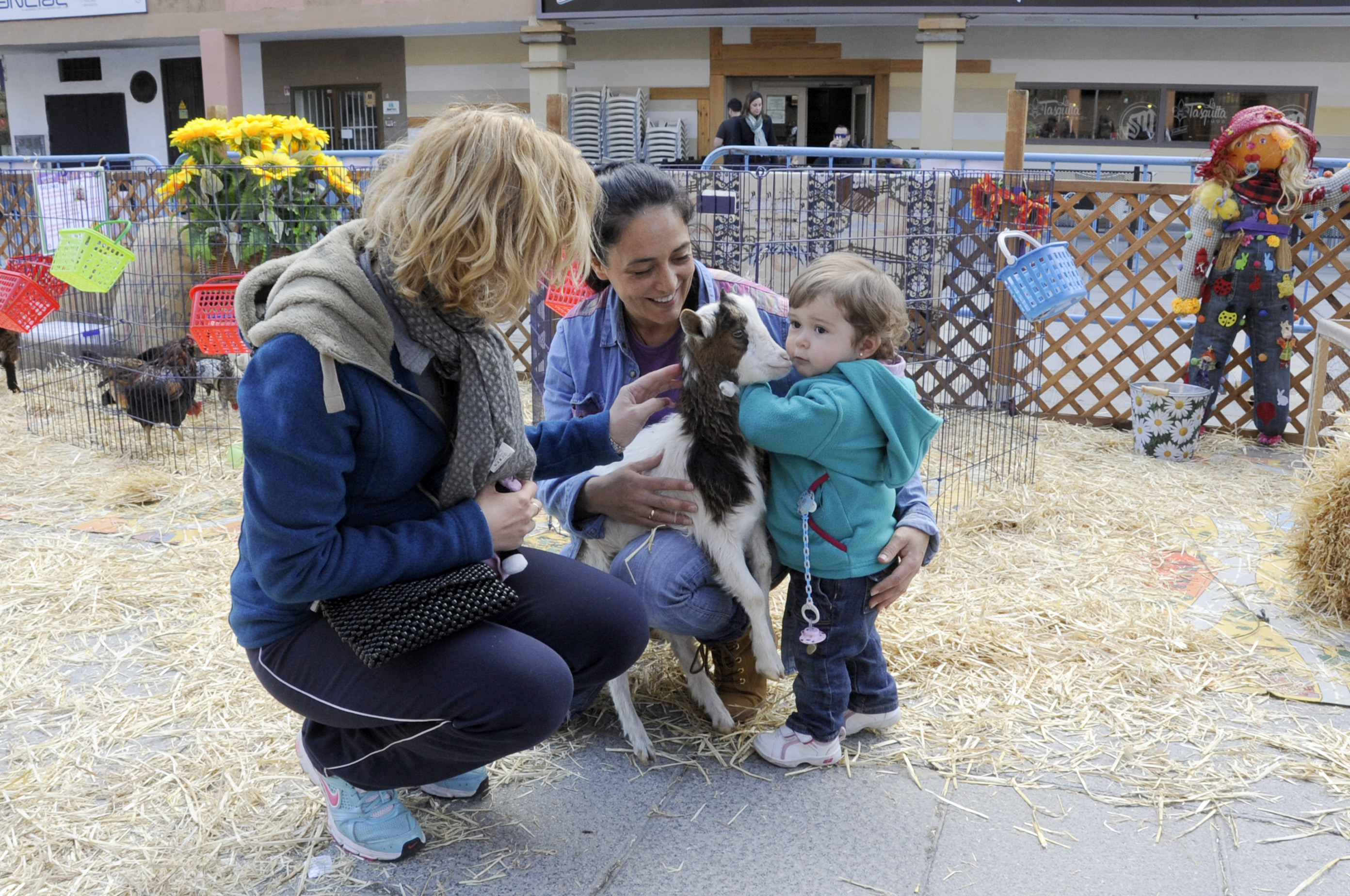 Granja animales Pza. España 12