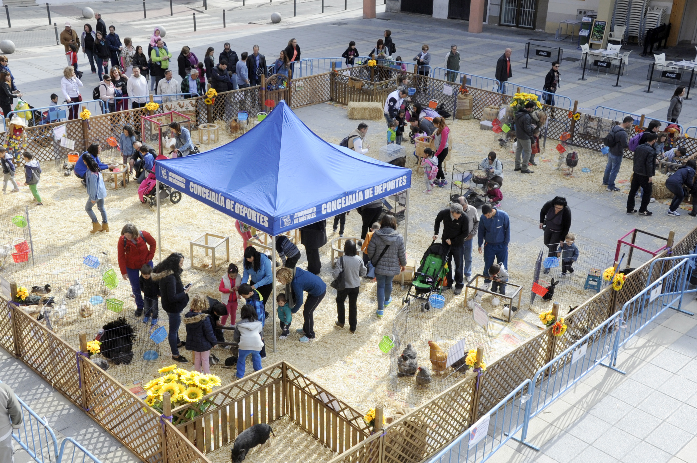 Granja animales Pza. España 19