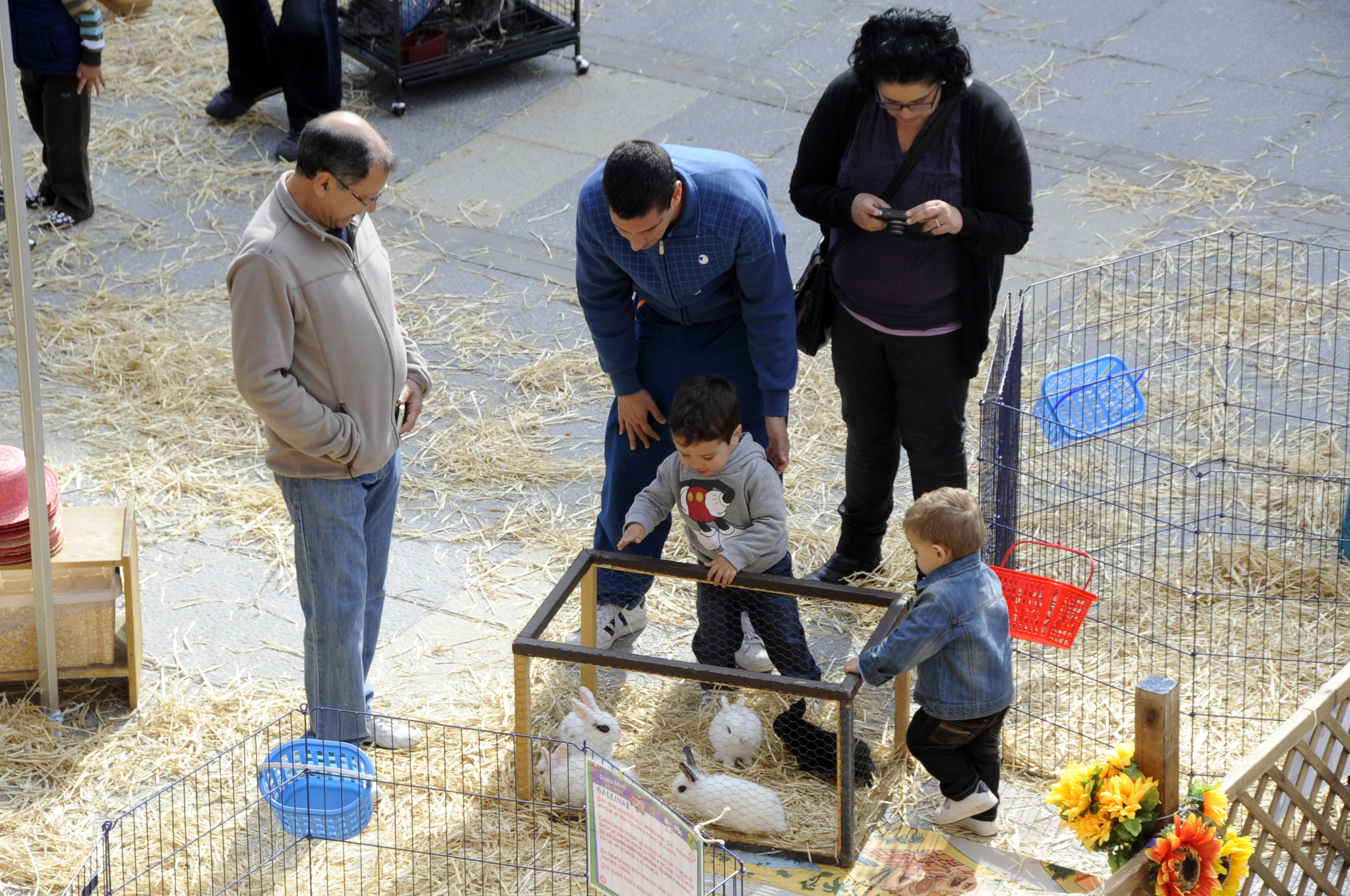 Granja animales Pza. España 20