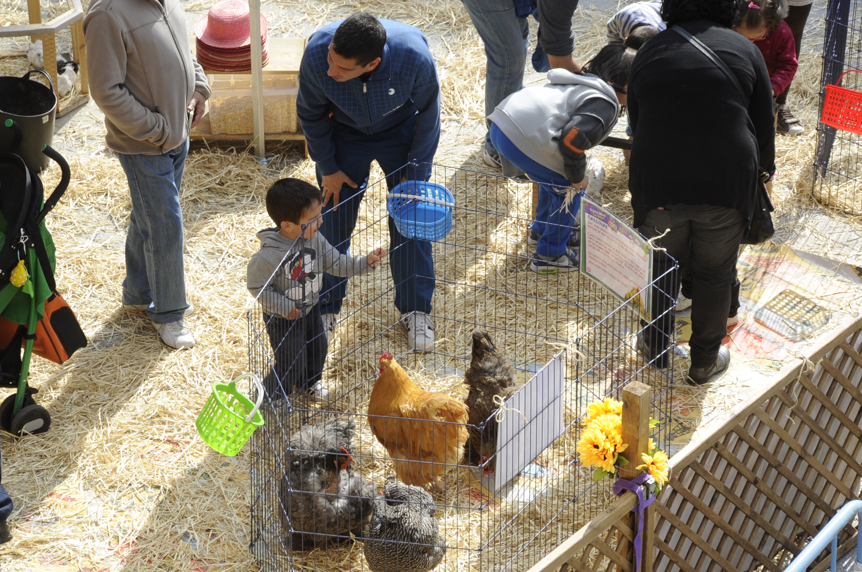Granja animales Pza. España 22