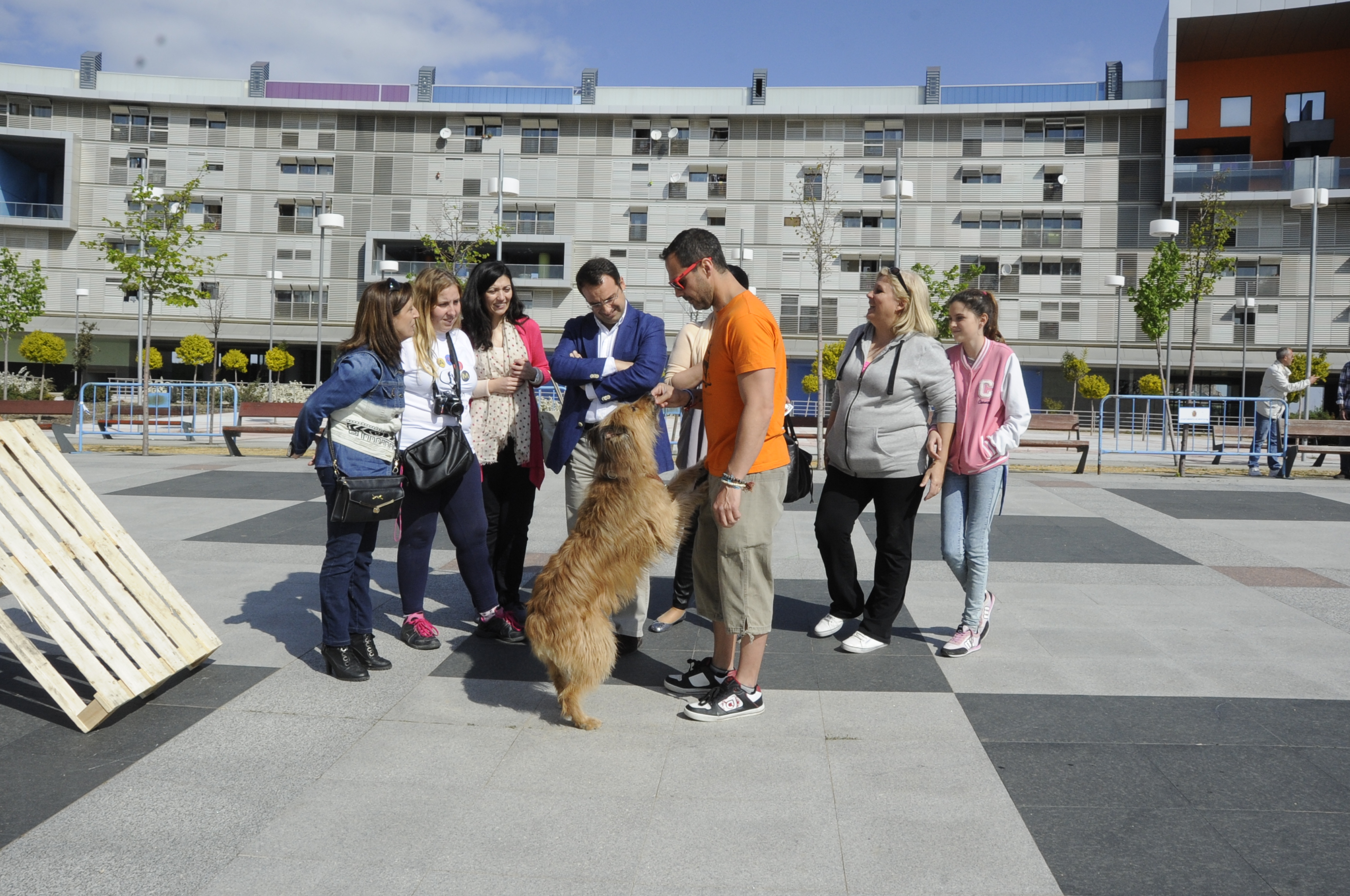 Día del Niño Pza. del Sol 12