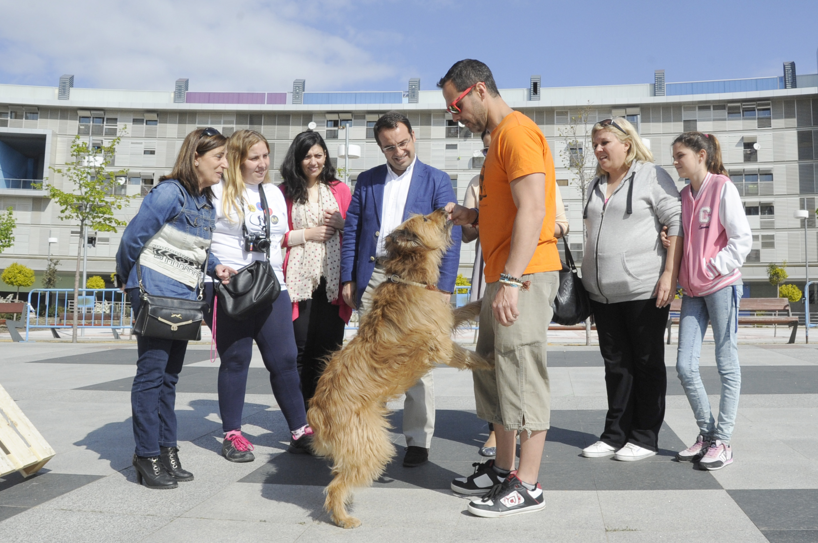 Día del Niño Pza. del Sol 14