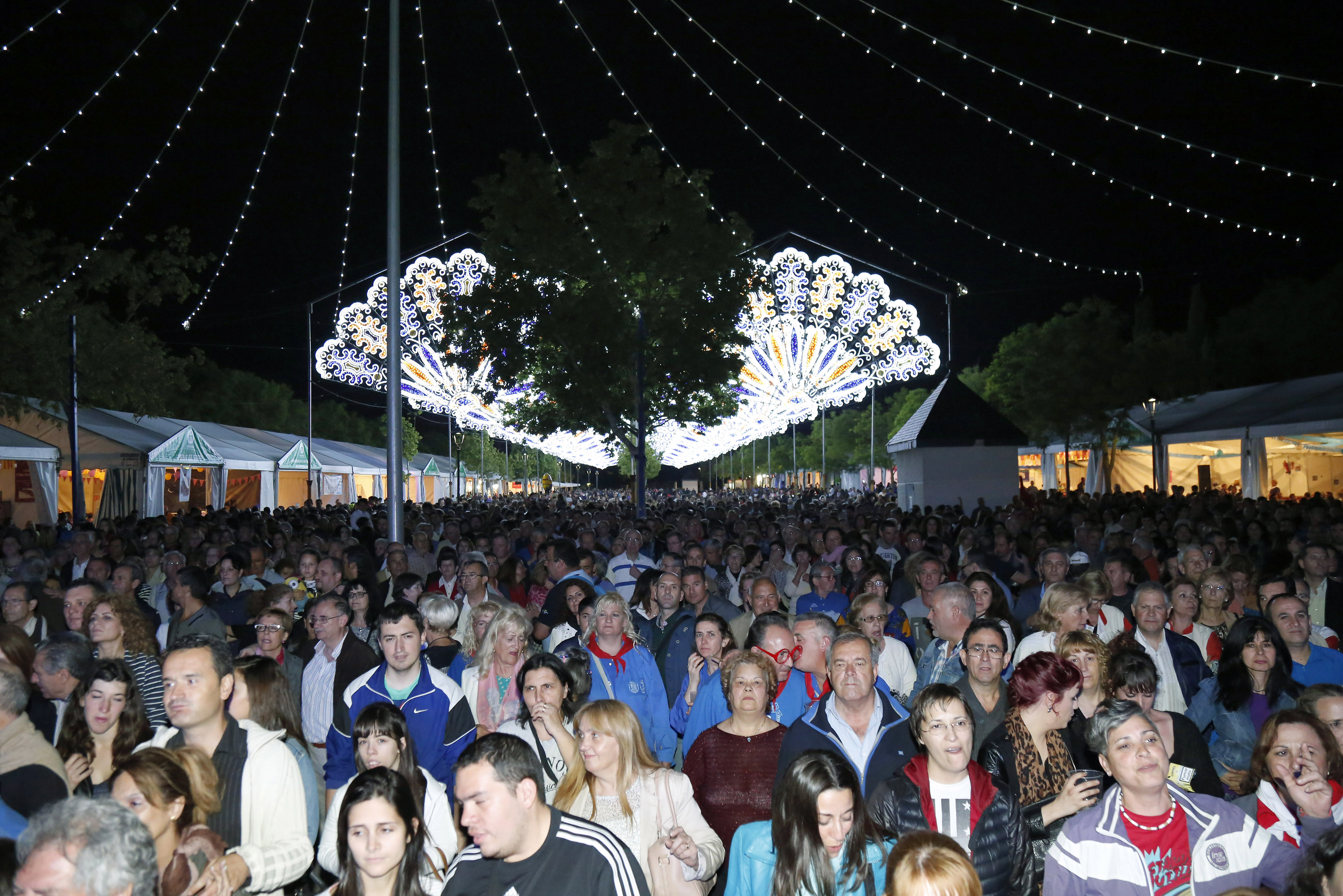 Premios Federación Peñas_8