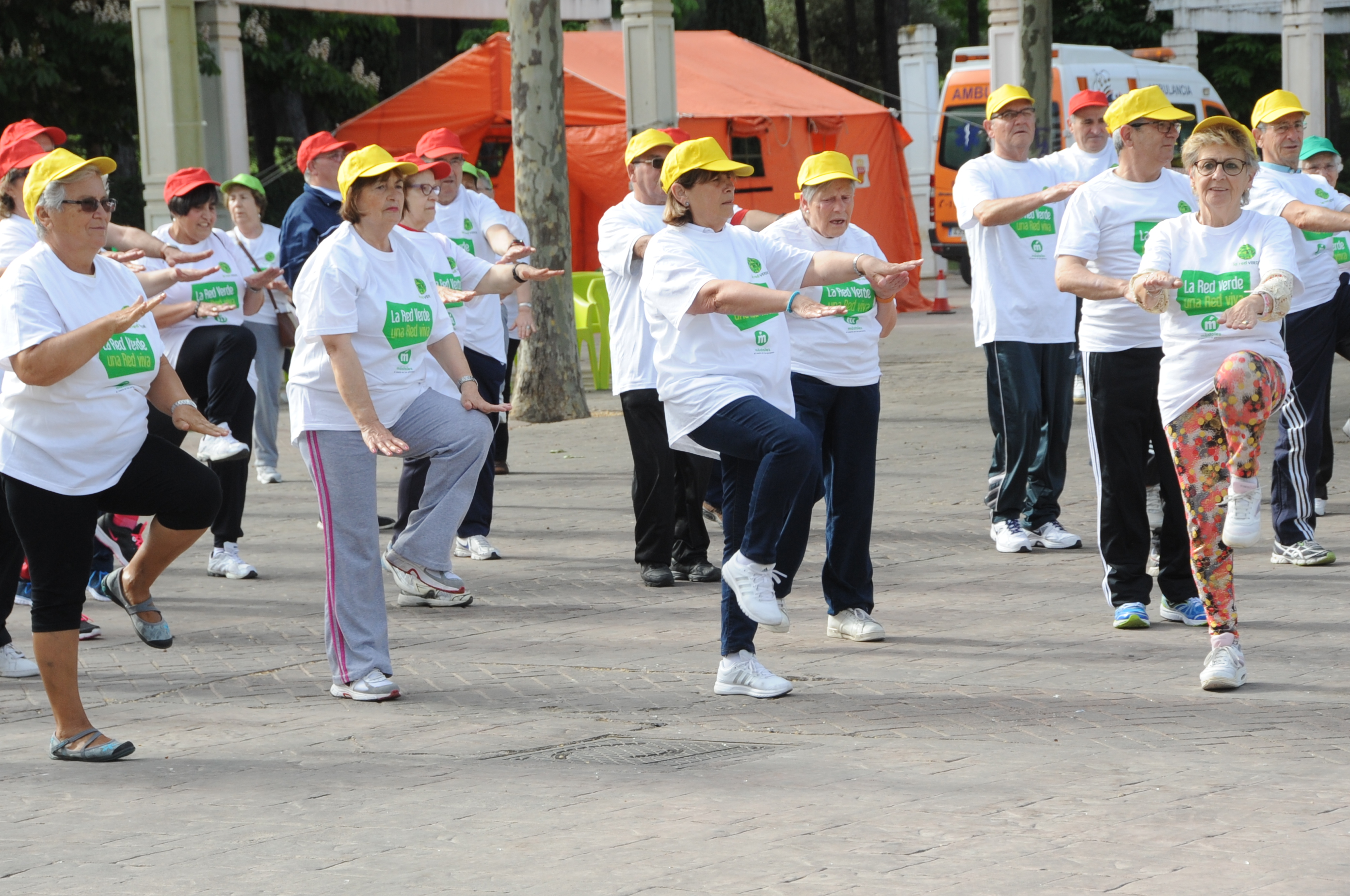 OLIMPIADAS DE MAYORES 9