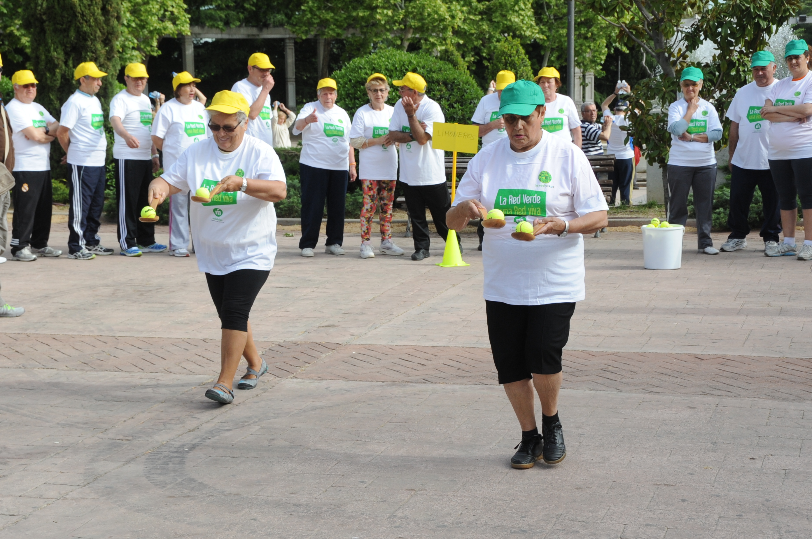 OLIMPIADAS DE MAYORES 10