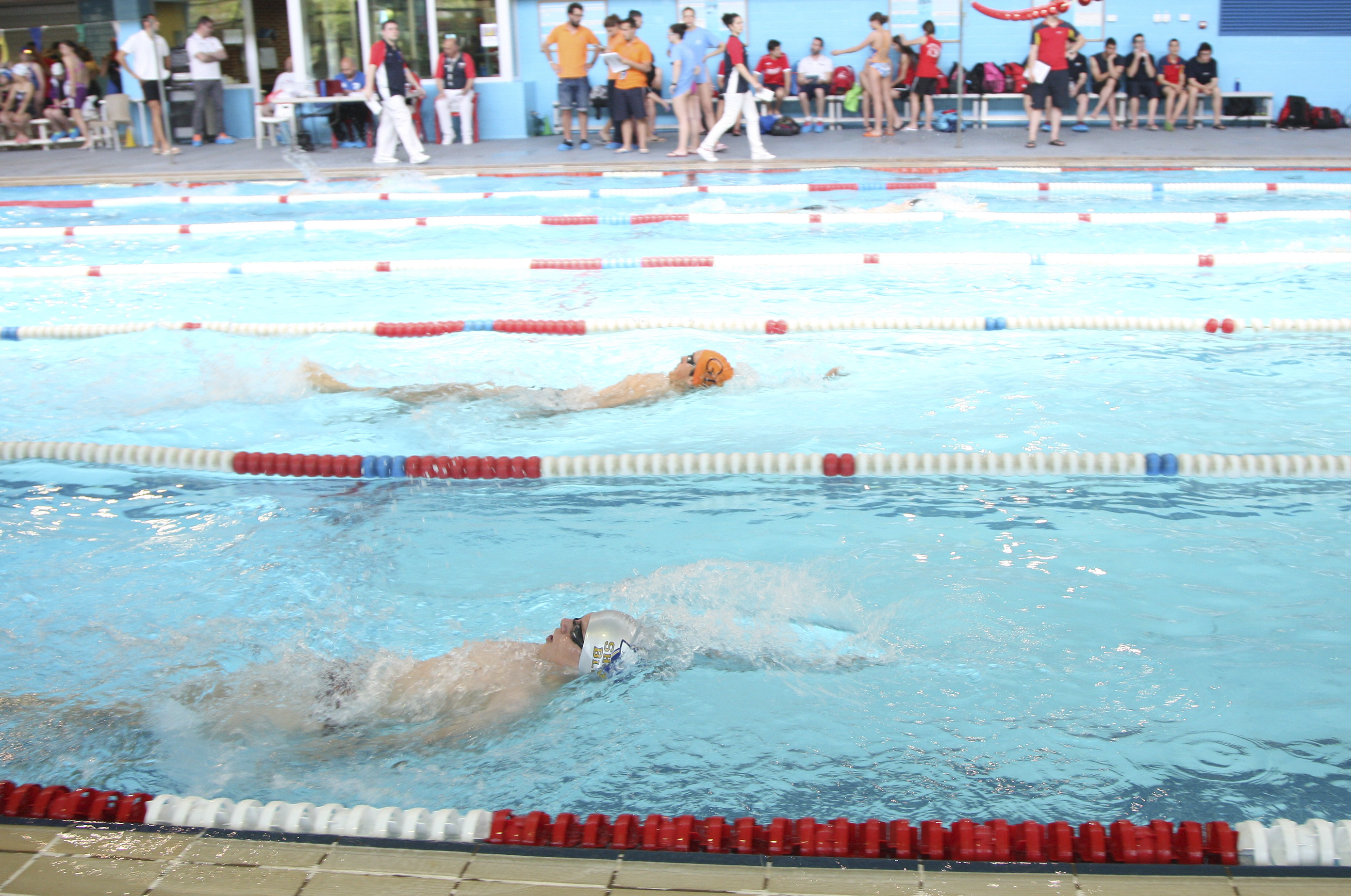 NATACION TROFEO 1
