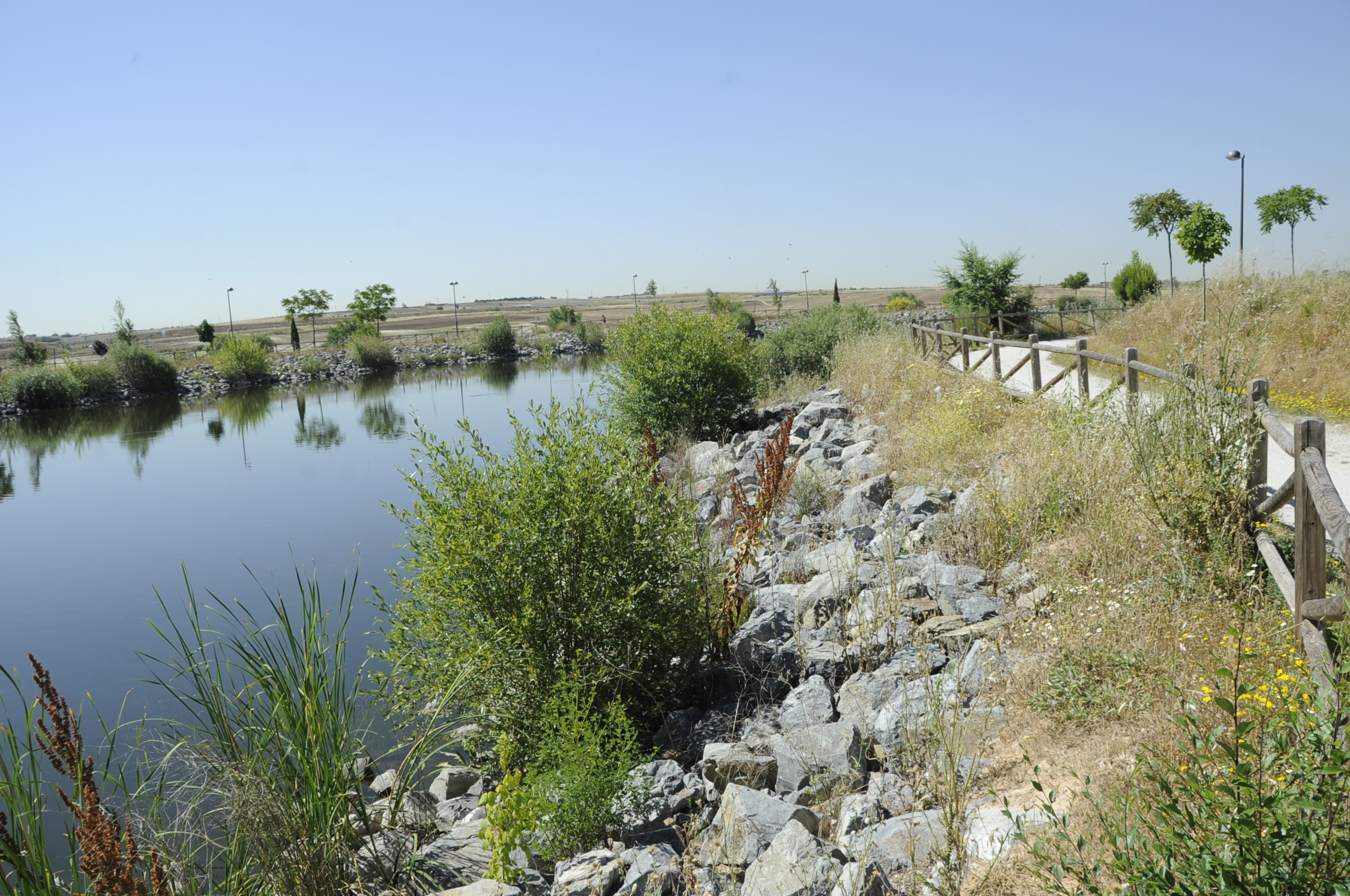 PARQUE Nelson Mandela 1