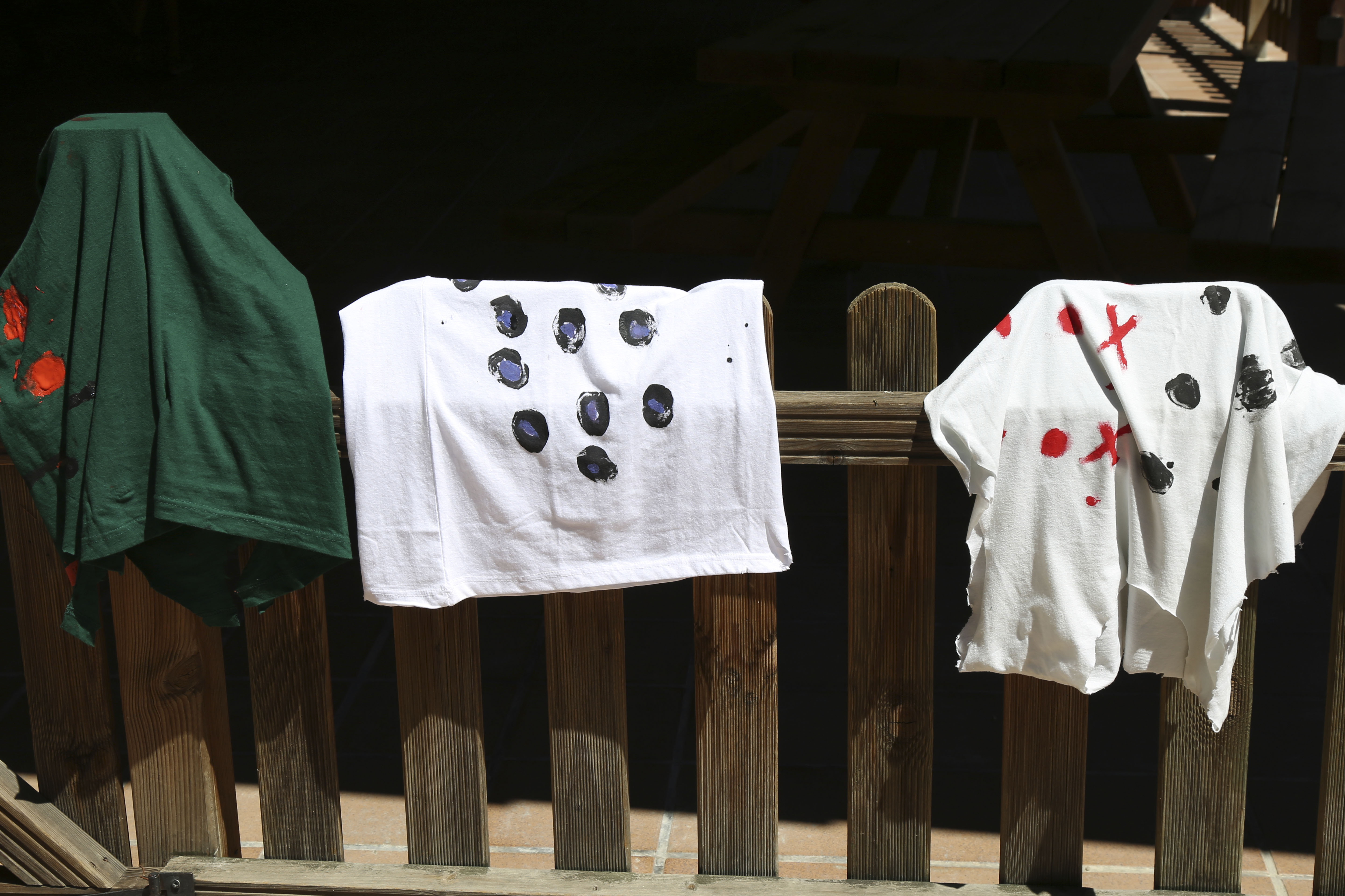 Visita a las Colonias de Verano (medio ambiente) 3