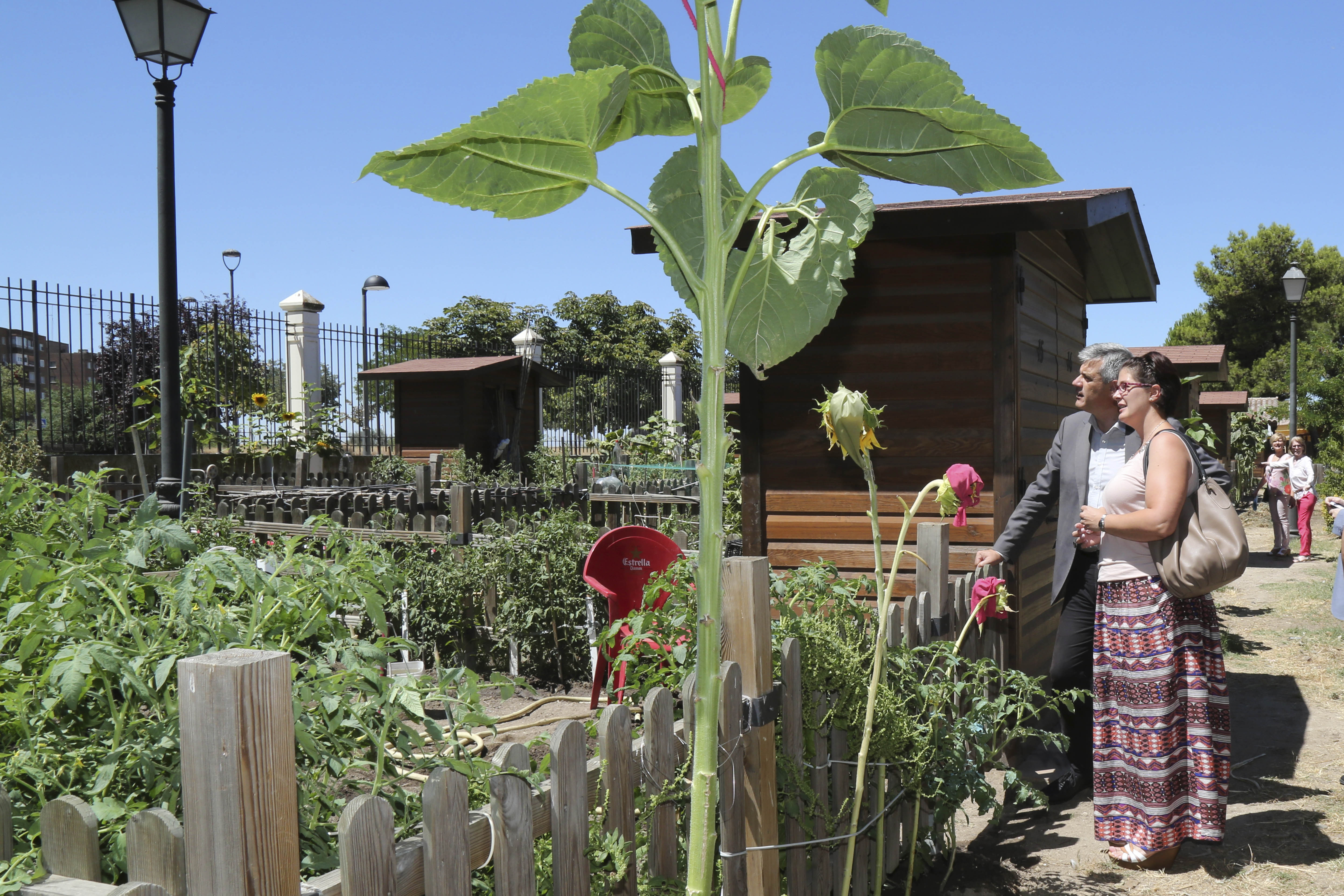 Visita Huertos municipales ecologicos 2