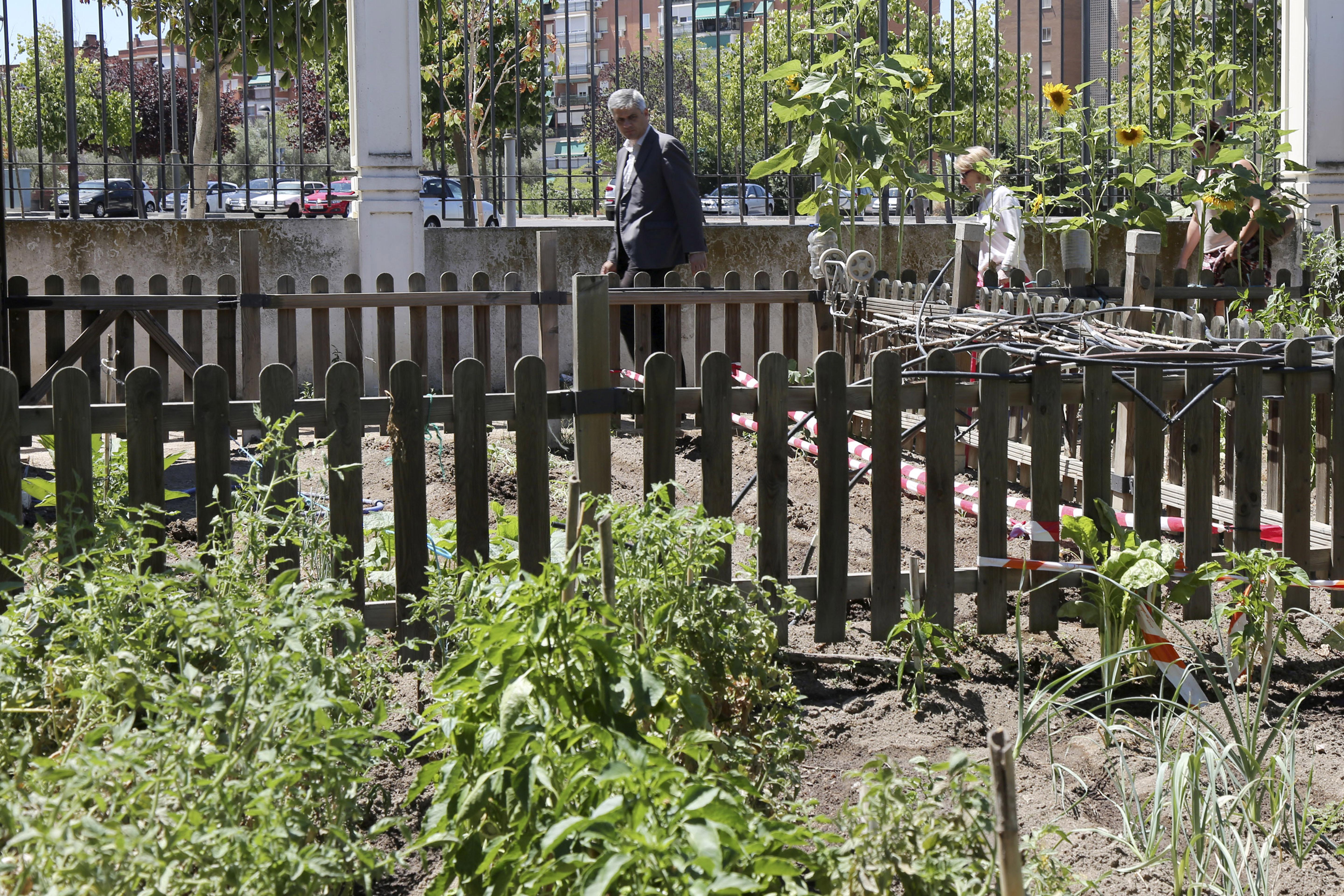 Visita Huertos municipales ecologicos 3