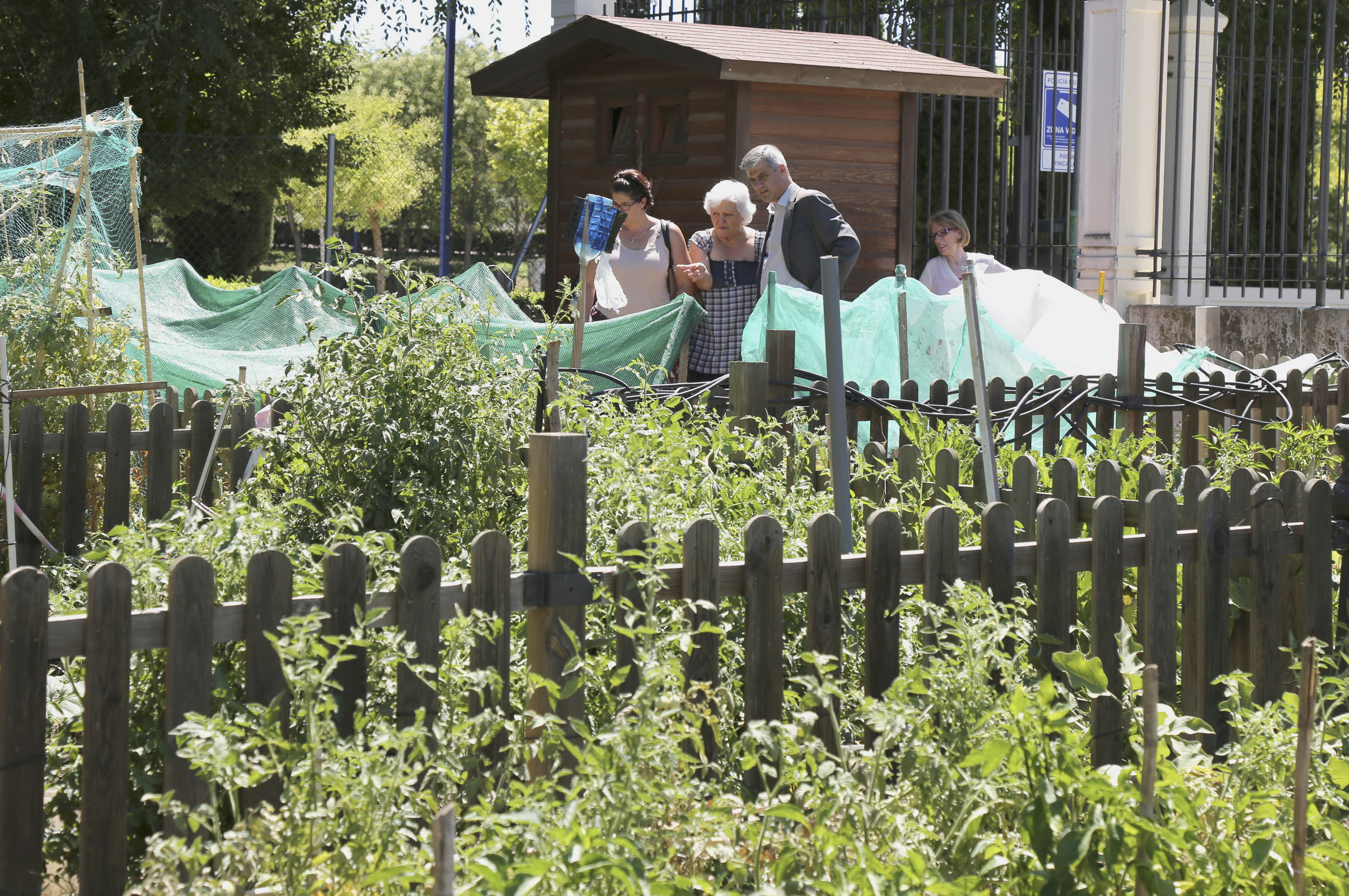 Visita Huertos municipales ecologicos 4